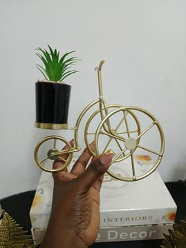 Nordic Bicycle Decor second image