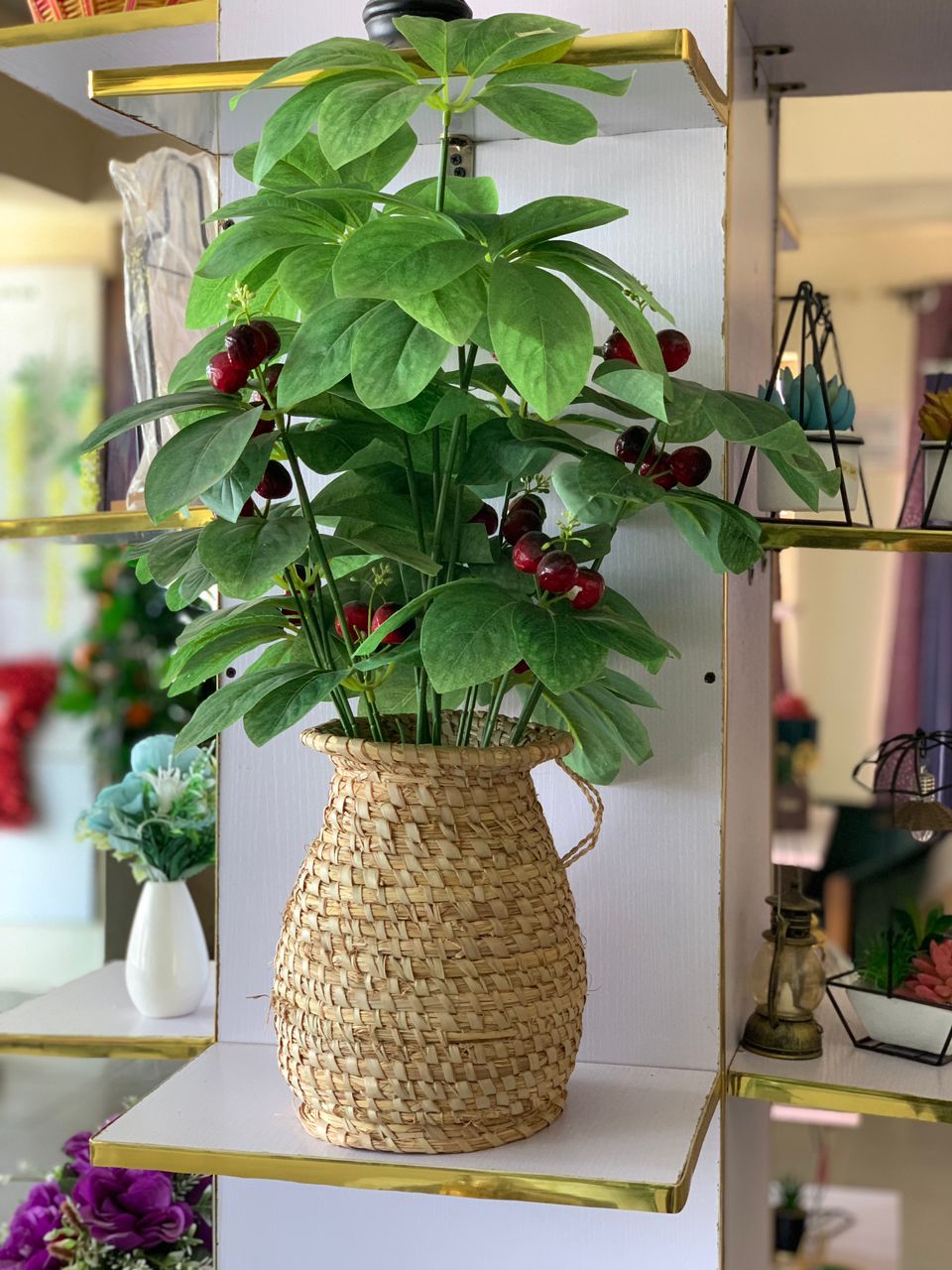 Artificial Plant In 10" Woven Basket Image