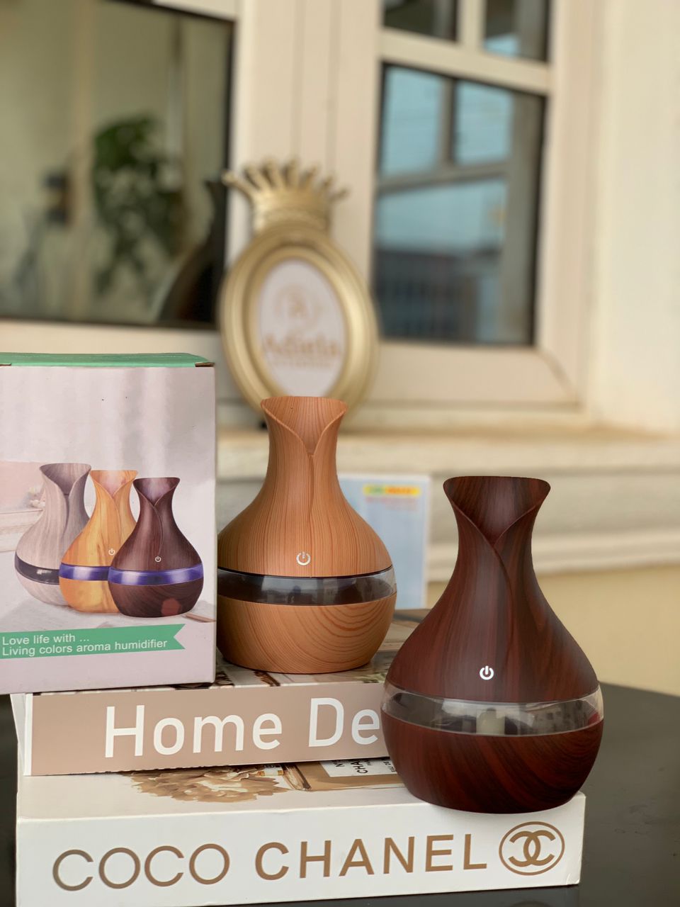 Humidifier Onion Bulb Design Image