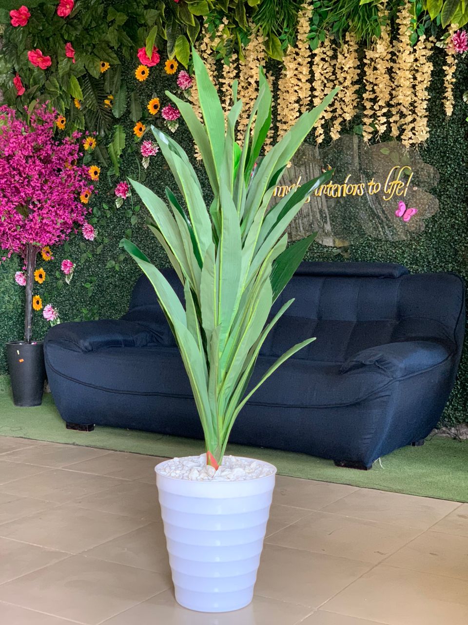 Artificial Dracaena Plant In Plastic Planter Image