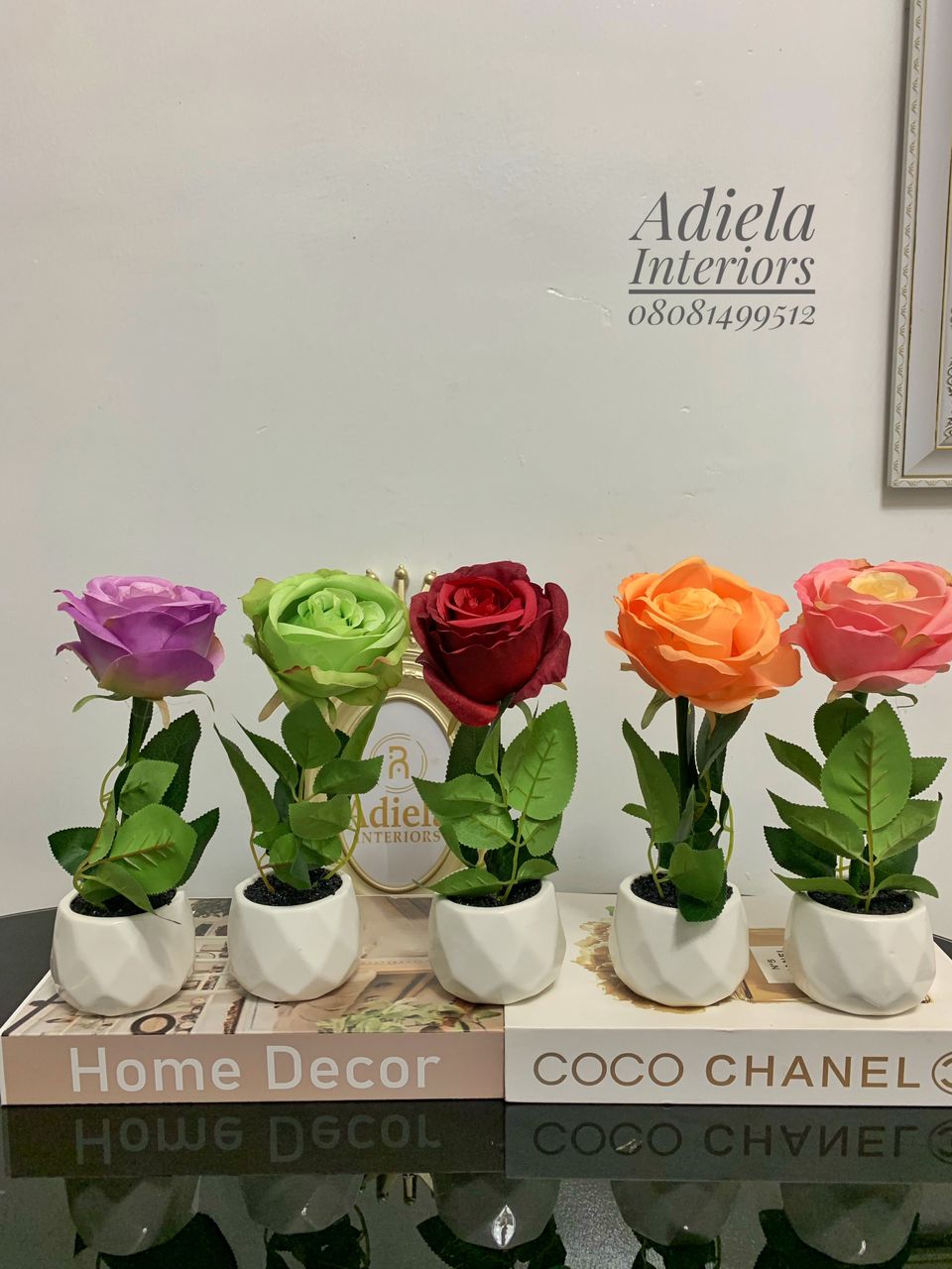Potted Mini Rose Image