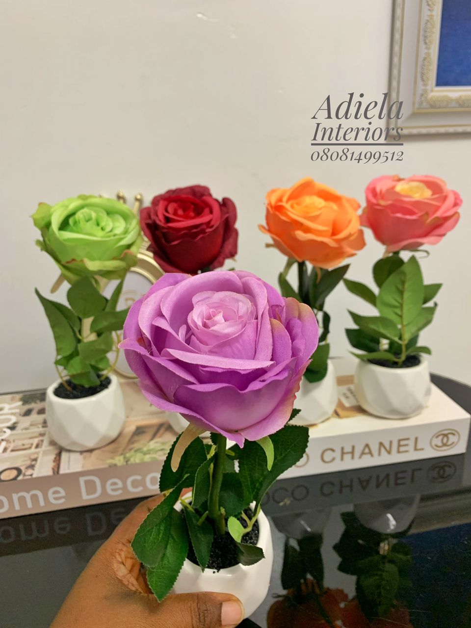 Potted Mini Rose Image