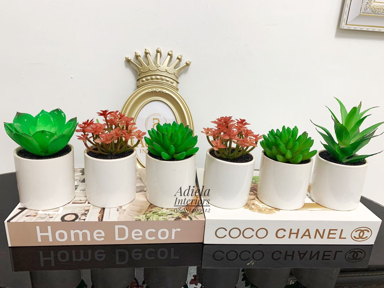Potted Succulent Flower Image