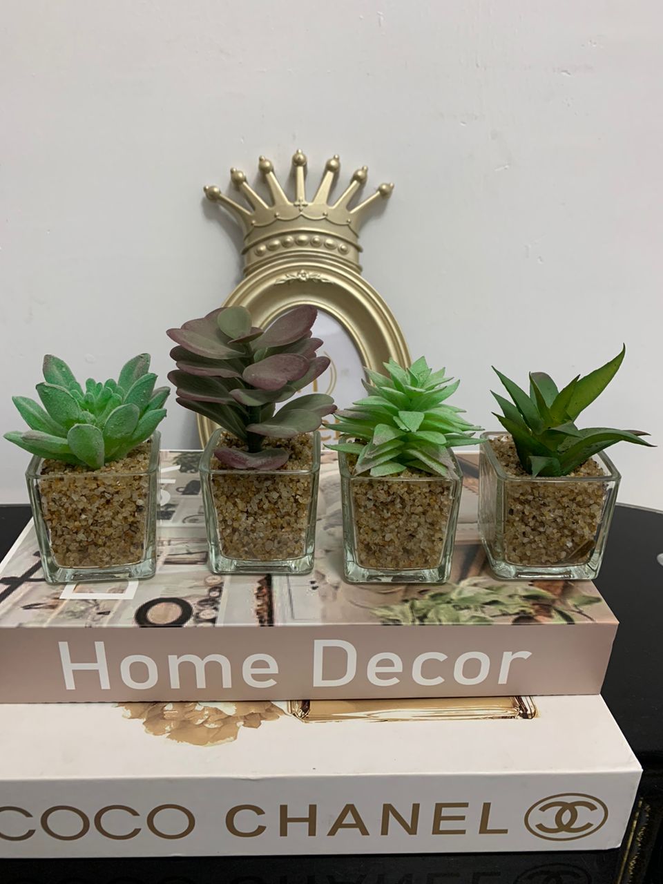 Miniature Succulent Image