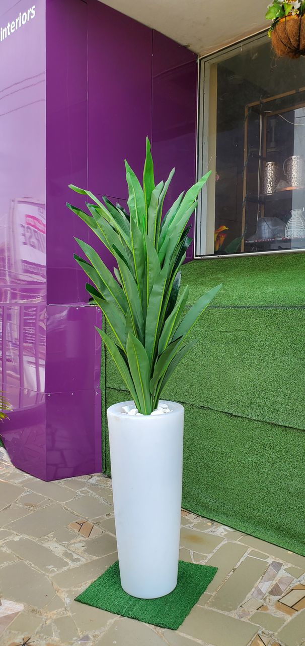 Artificial Dracaena Tree In Long White Plastic Planter Image