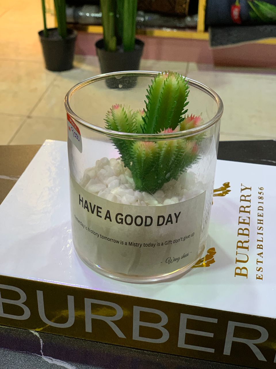 Succulent In Glass Jar Image