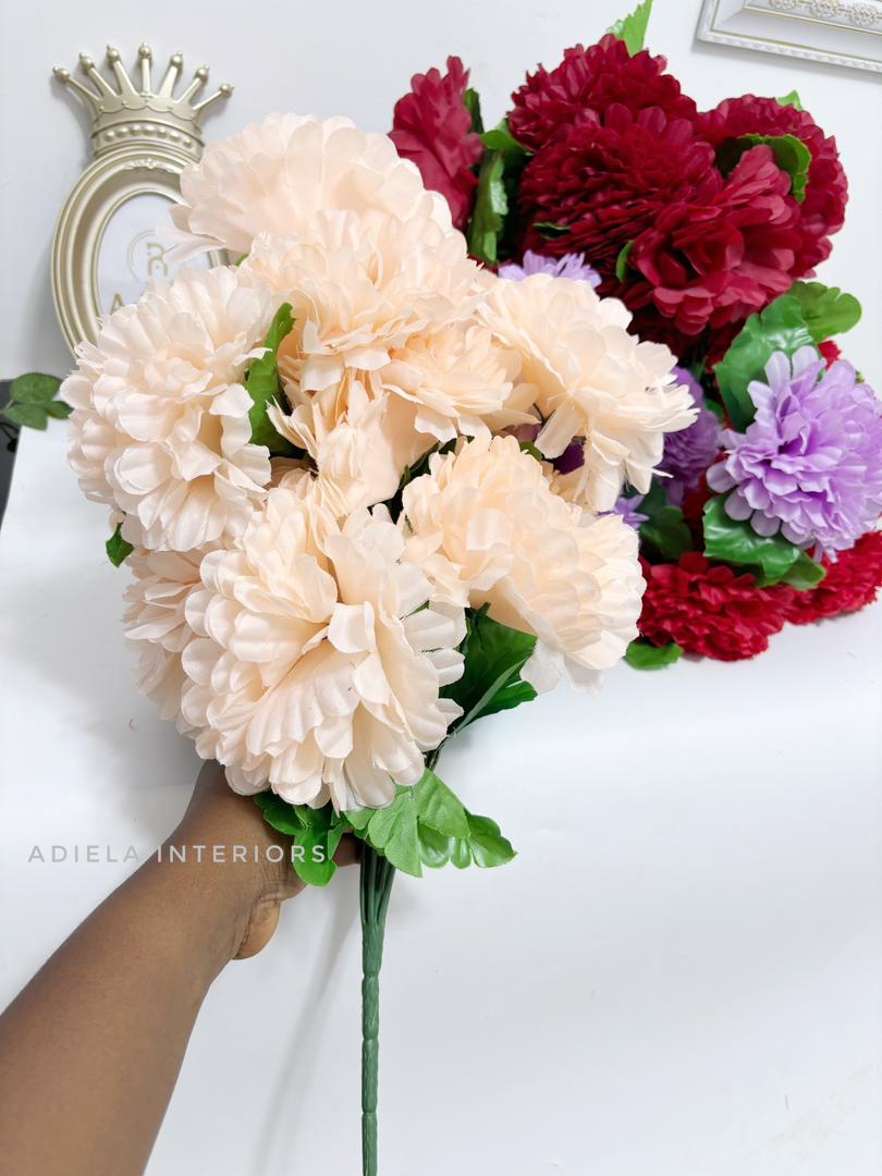 Big Carnation Flowers Image