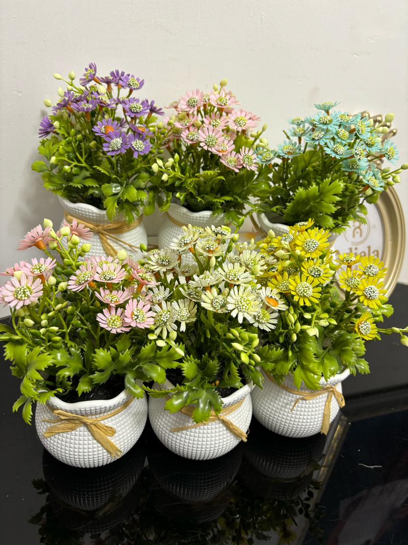 Potted Flower Vase Image