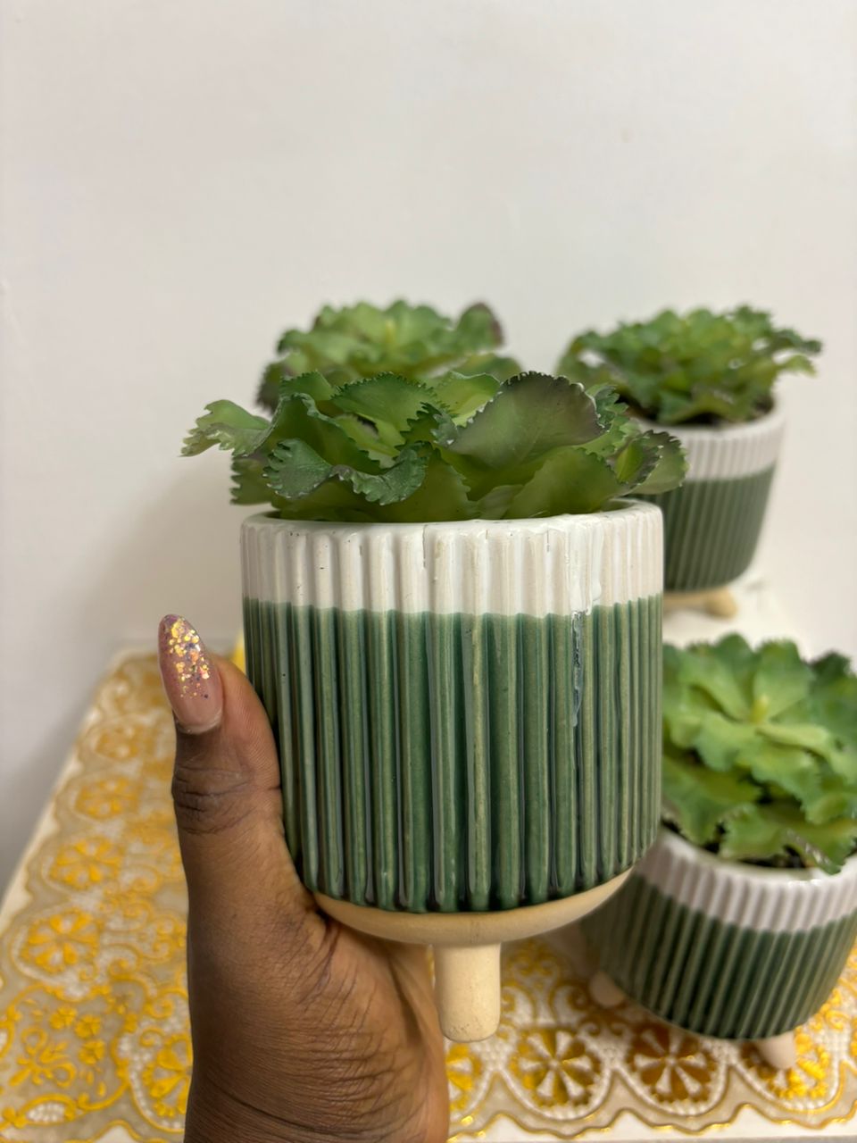 Potted Succulents Image