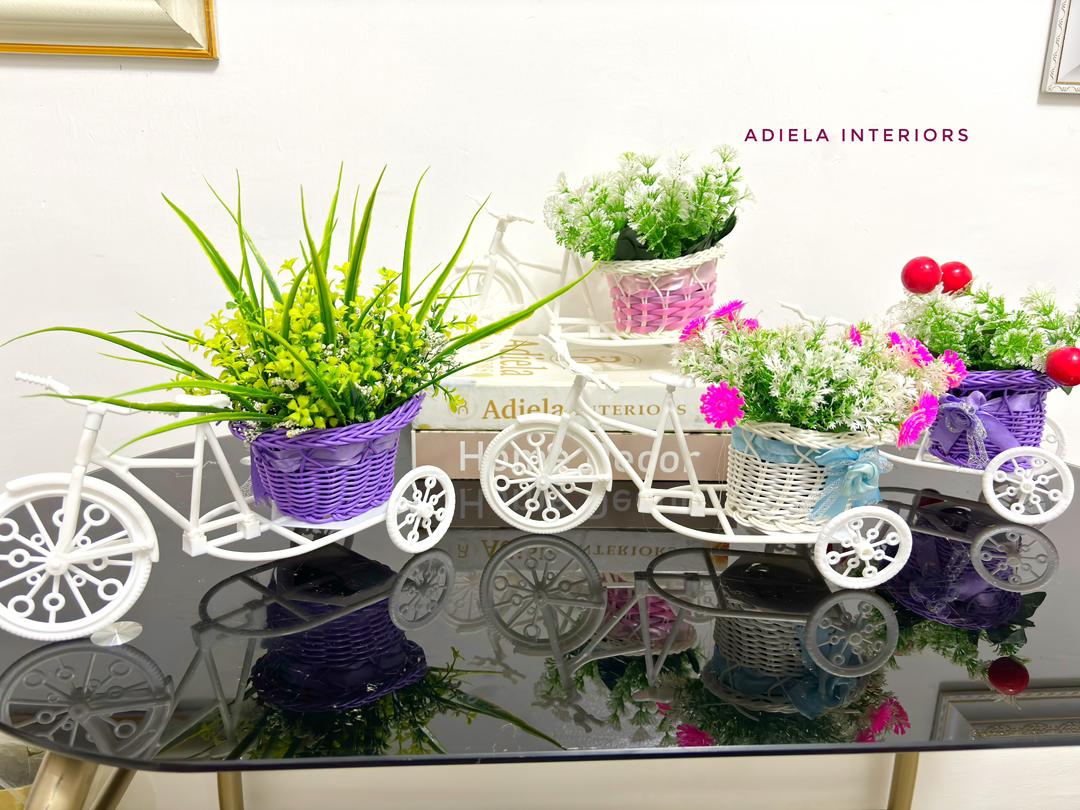 Potted Bicycle Decor Image