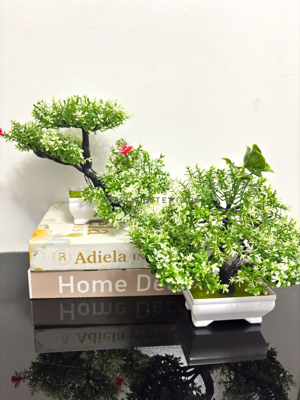 Potted Bonsai Tree Image
