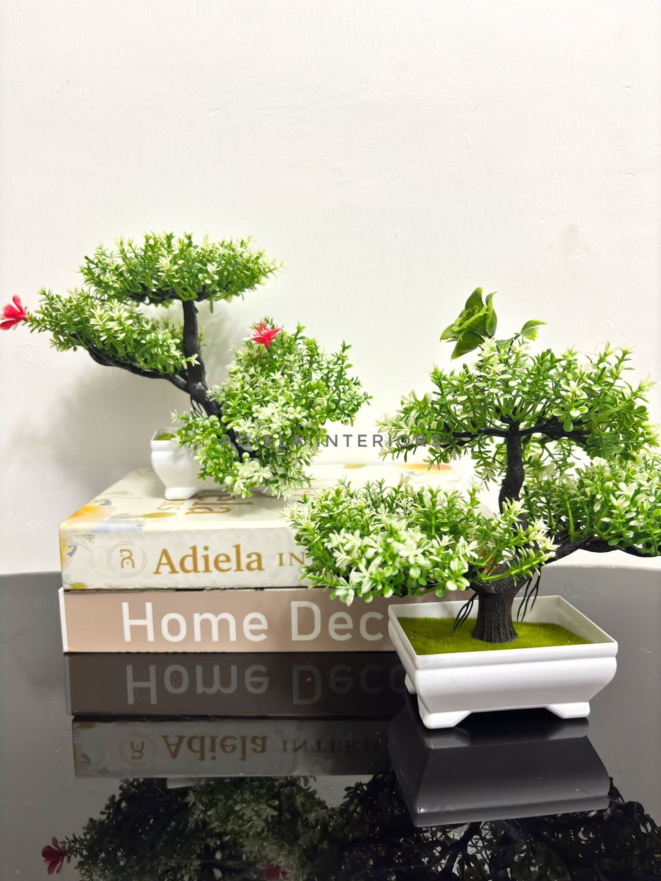 Potted Bonsai Tree Image