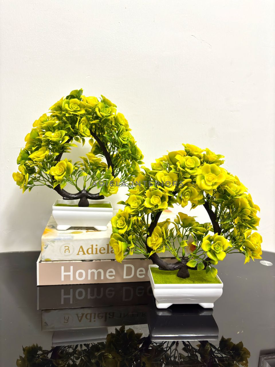 Potted Bonsai Tree Image