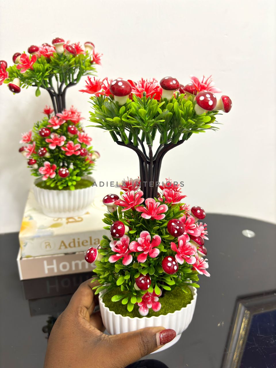 Potted Bonsai Tree Image
