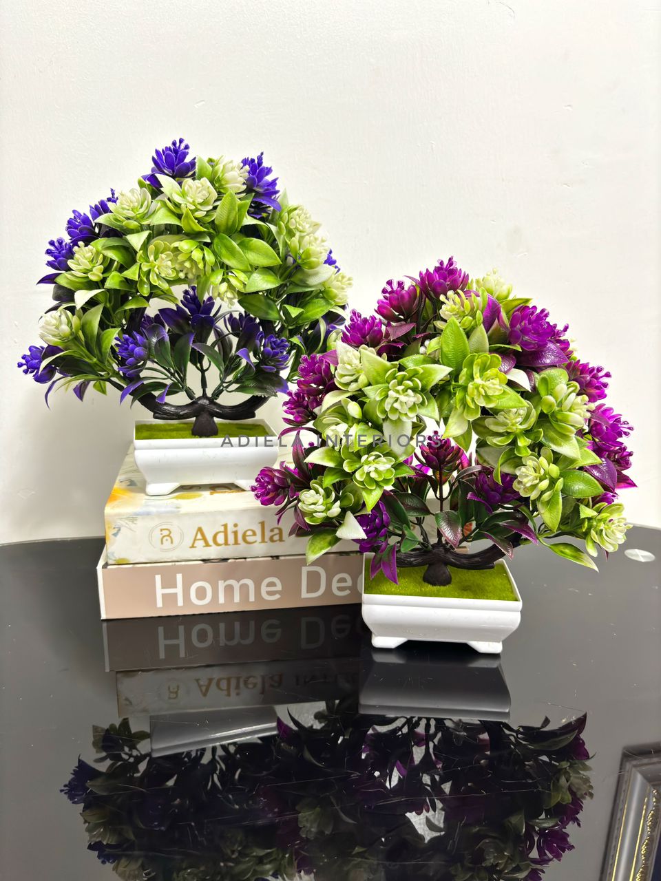 Potted Bonsai Tree Image