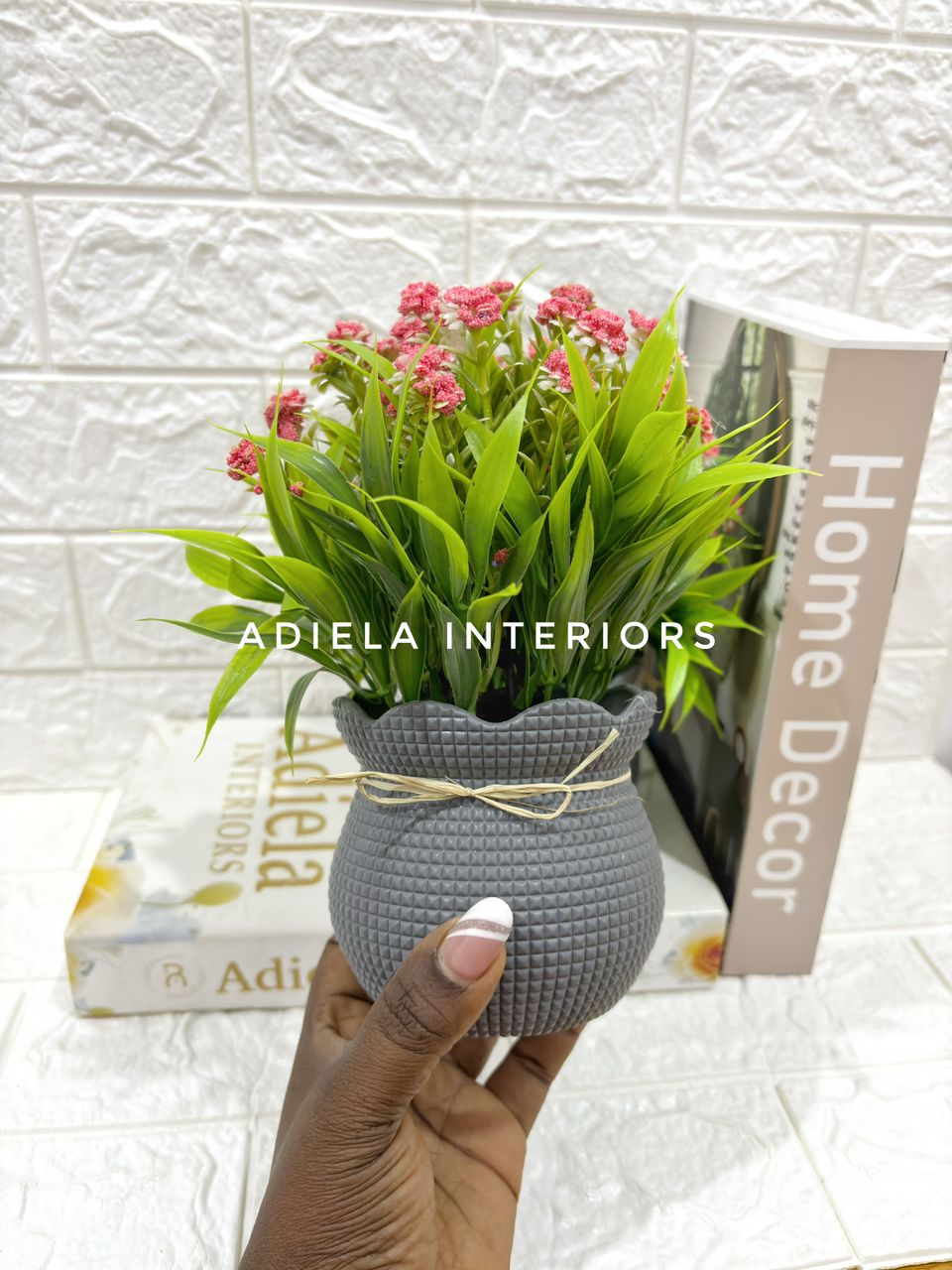 Potted Prime Flower Image