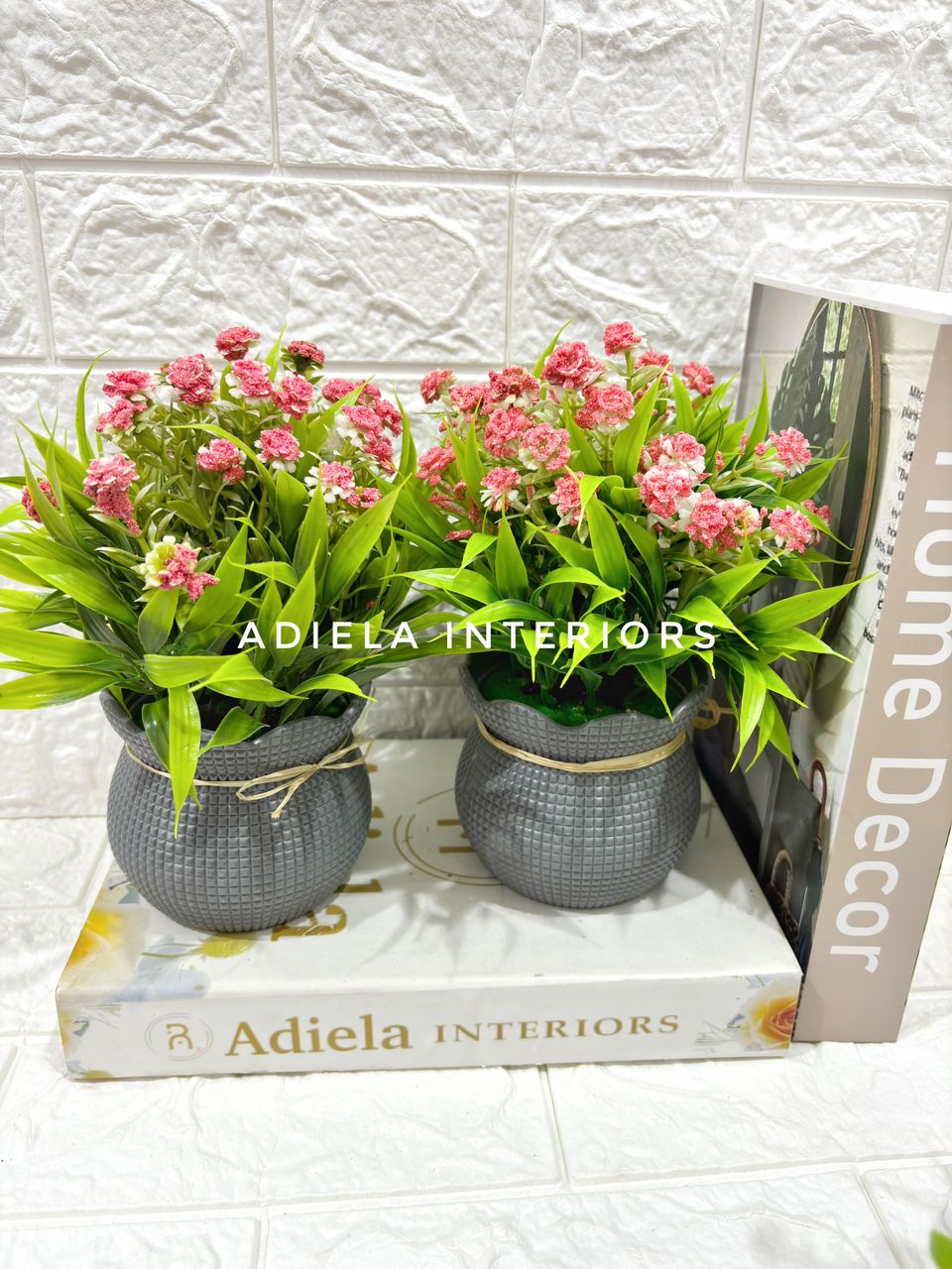 Potted Prime Flower Image