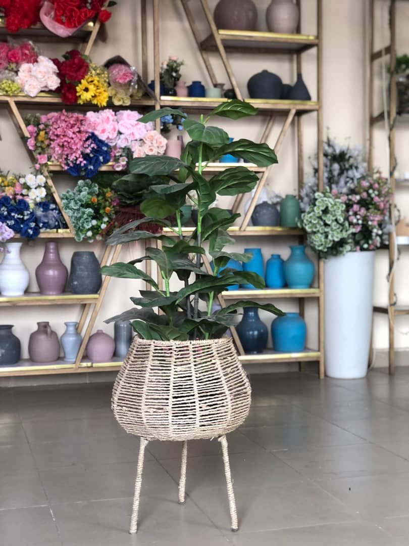 Artificial Tree In Rattan Planter Image
