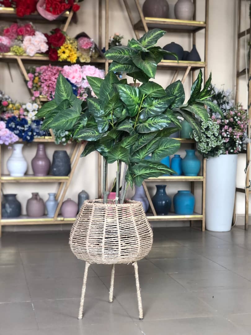 Artificial Tree In Rattan Planter Image