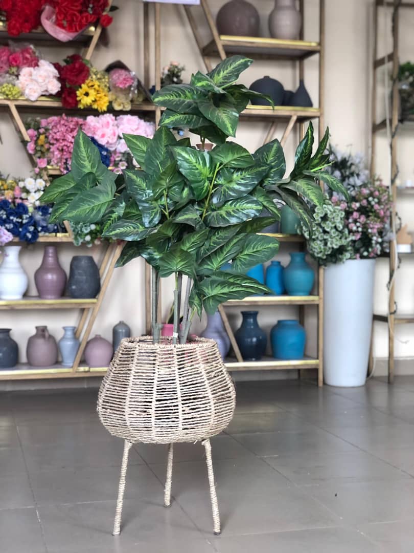 Artificial Tree In Rattan Planter Image