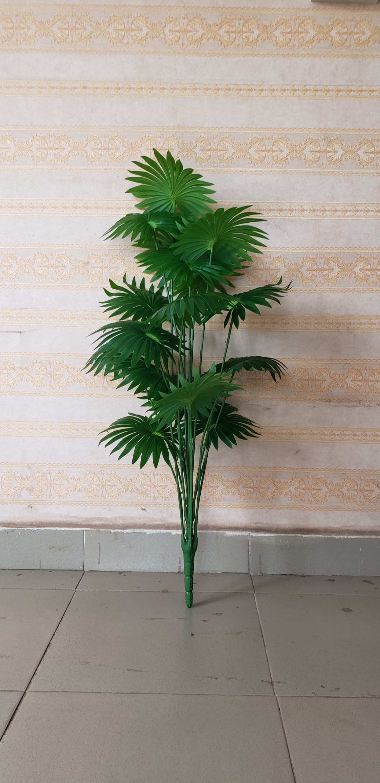 Bunch Tree _ Hand Palm Image