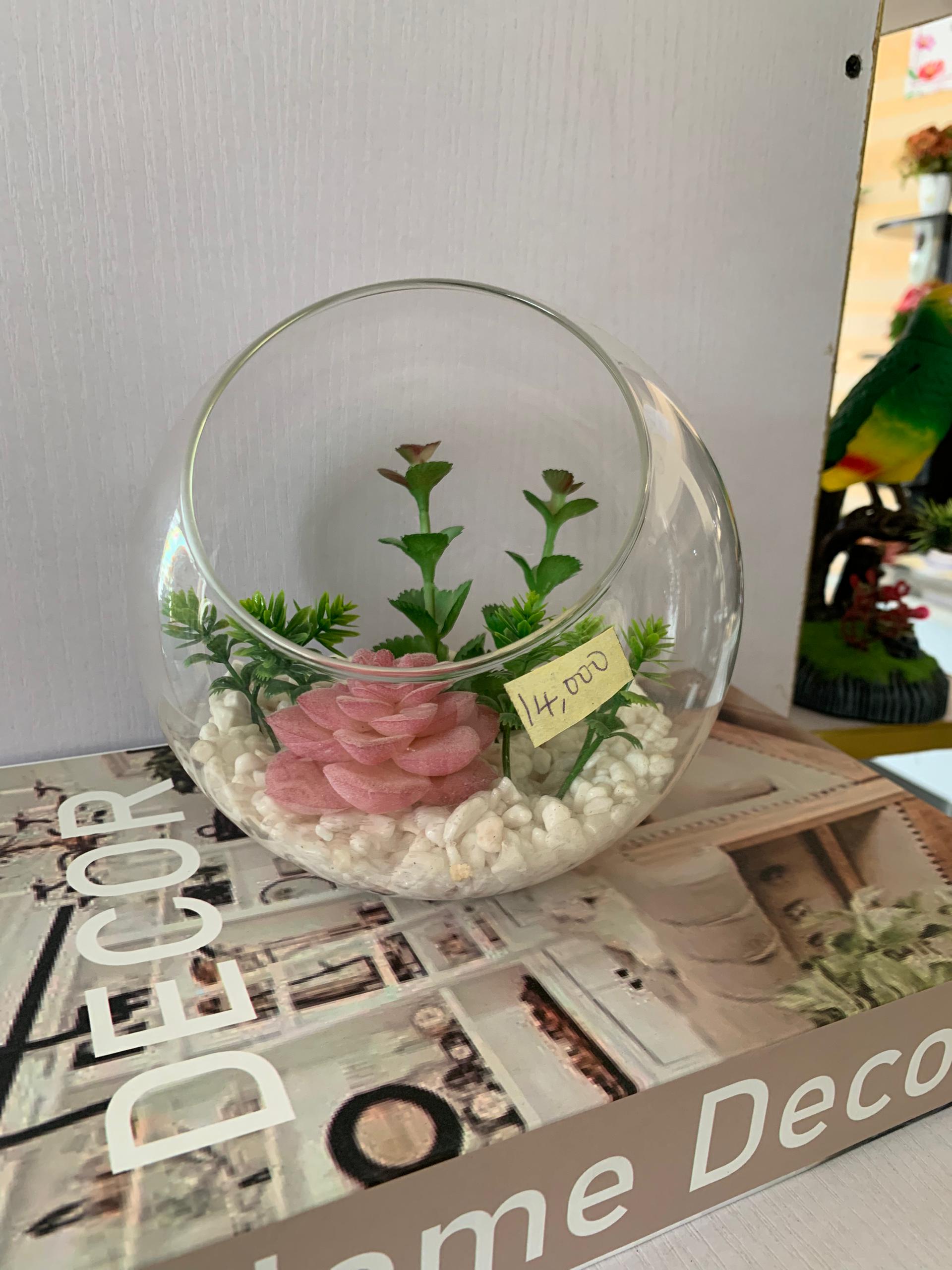 Faux succulents flower vase in glass Fish Bowl Image