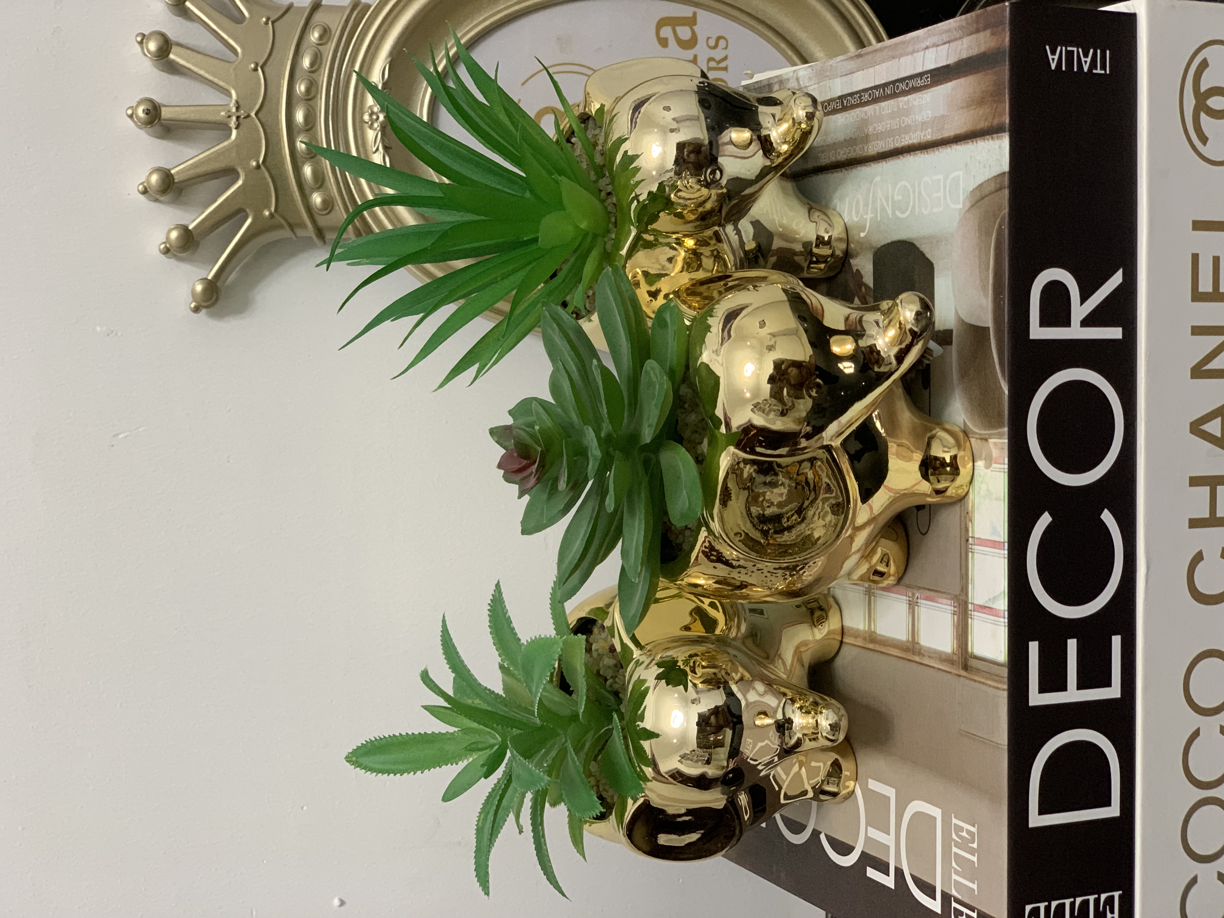 Succulent Table Decor- Elephant design Image