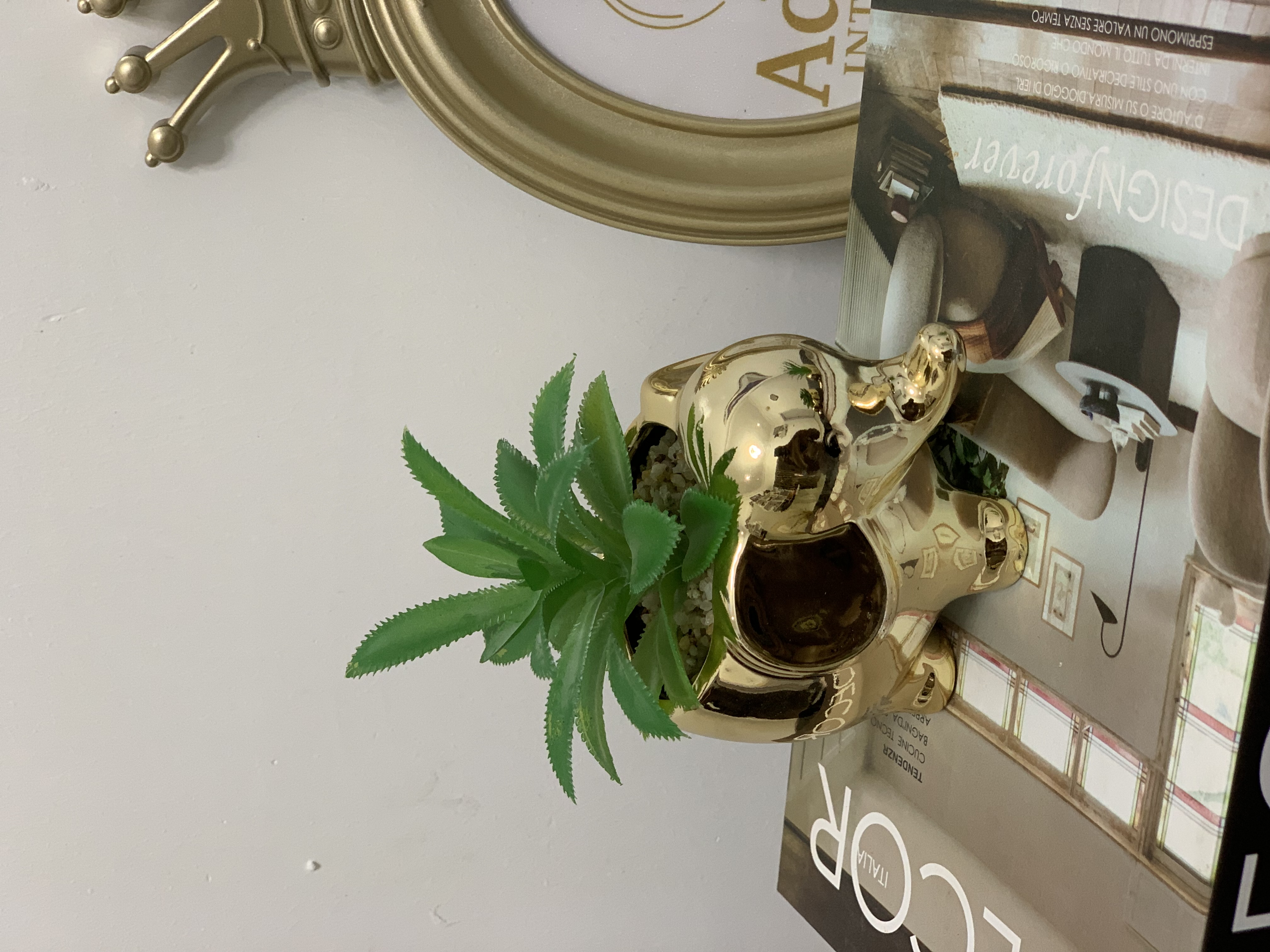 Succulent Table Decor- Elephant design Image