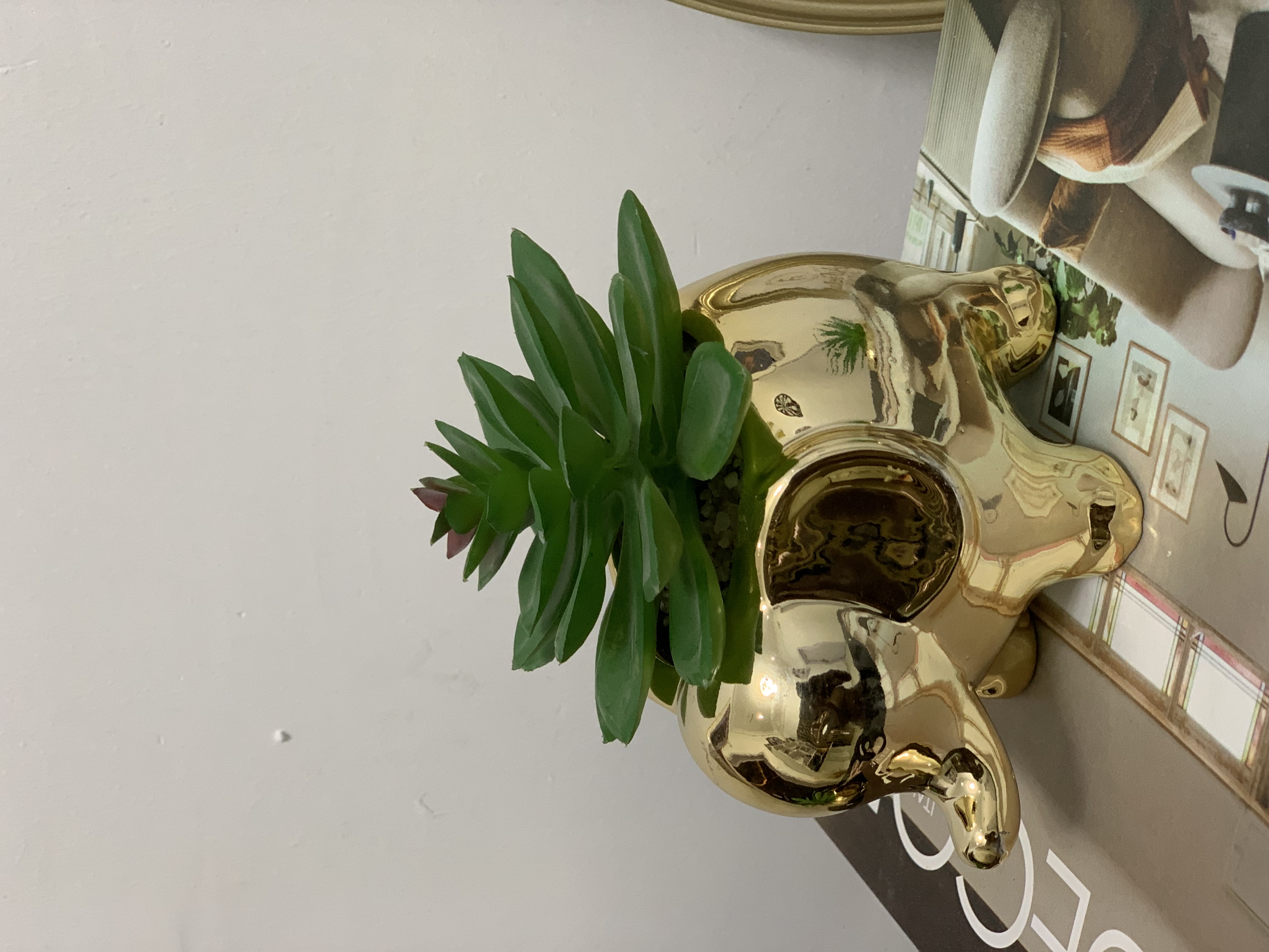 Succulent Table Decor- Elephant design Image