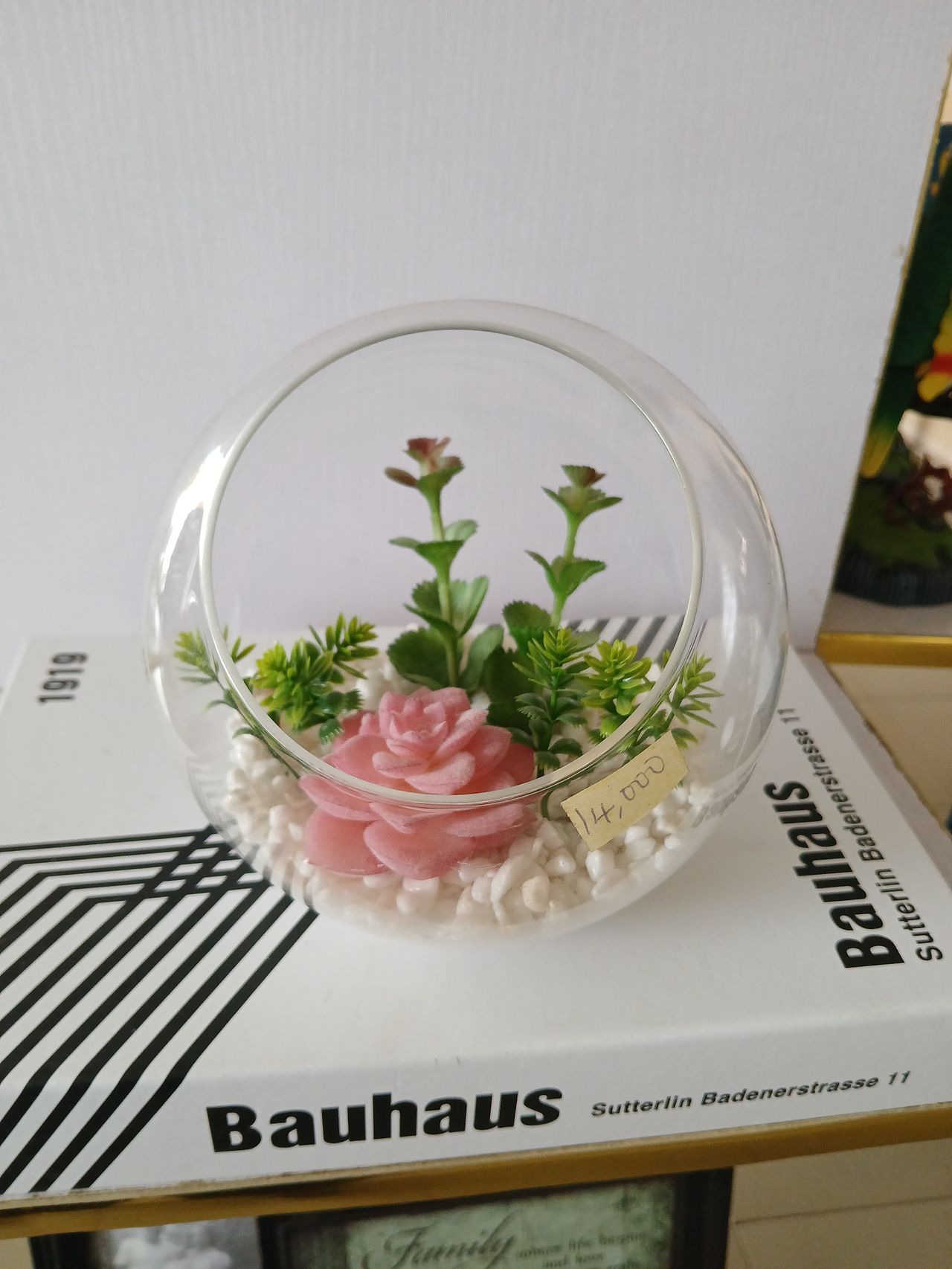 Potted Succulents in Glass Fish Bowl Image