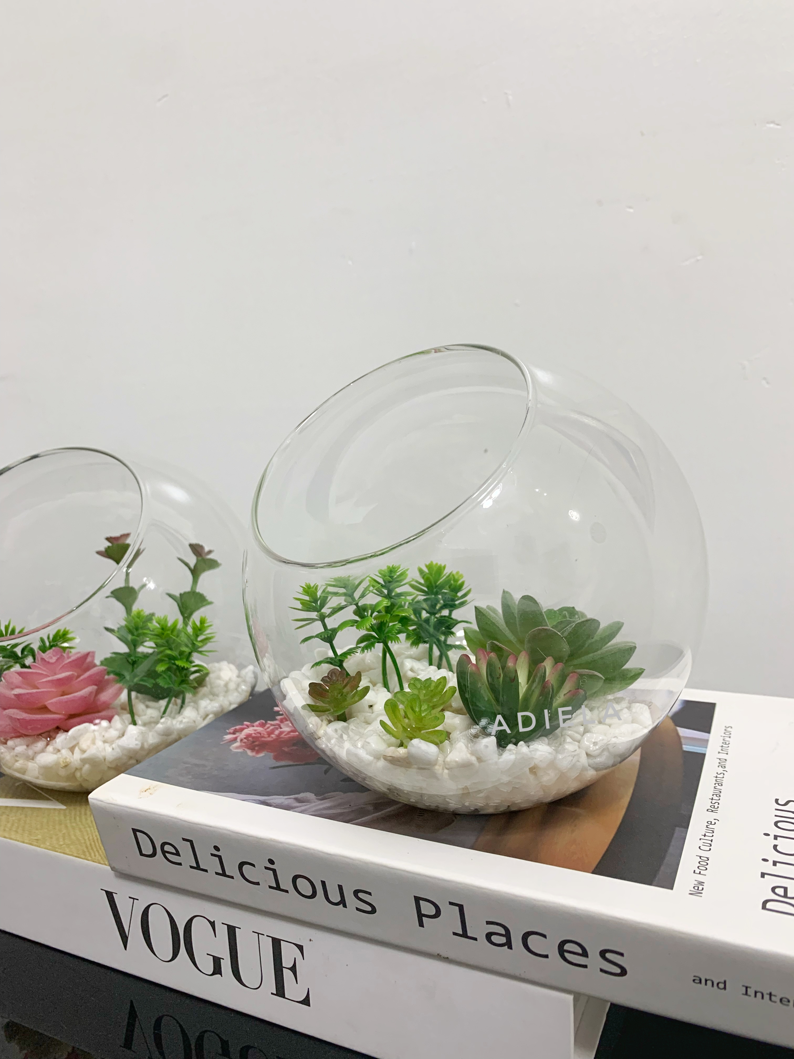 Decorative Fish Bowl with Succulents Image