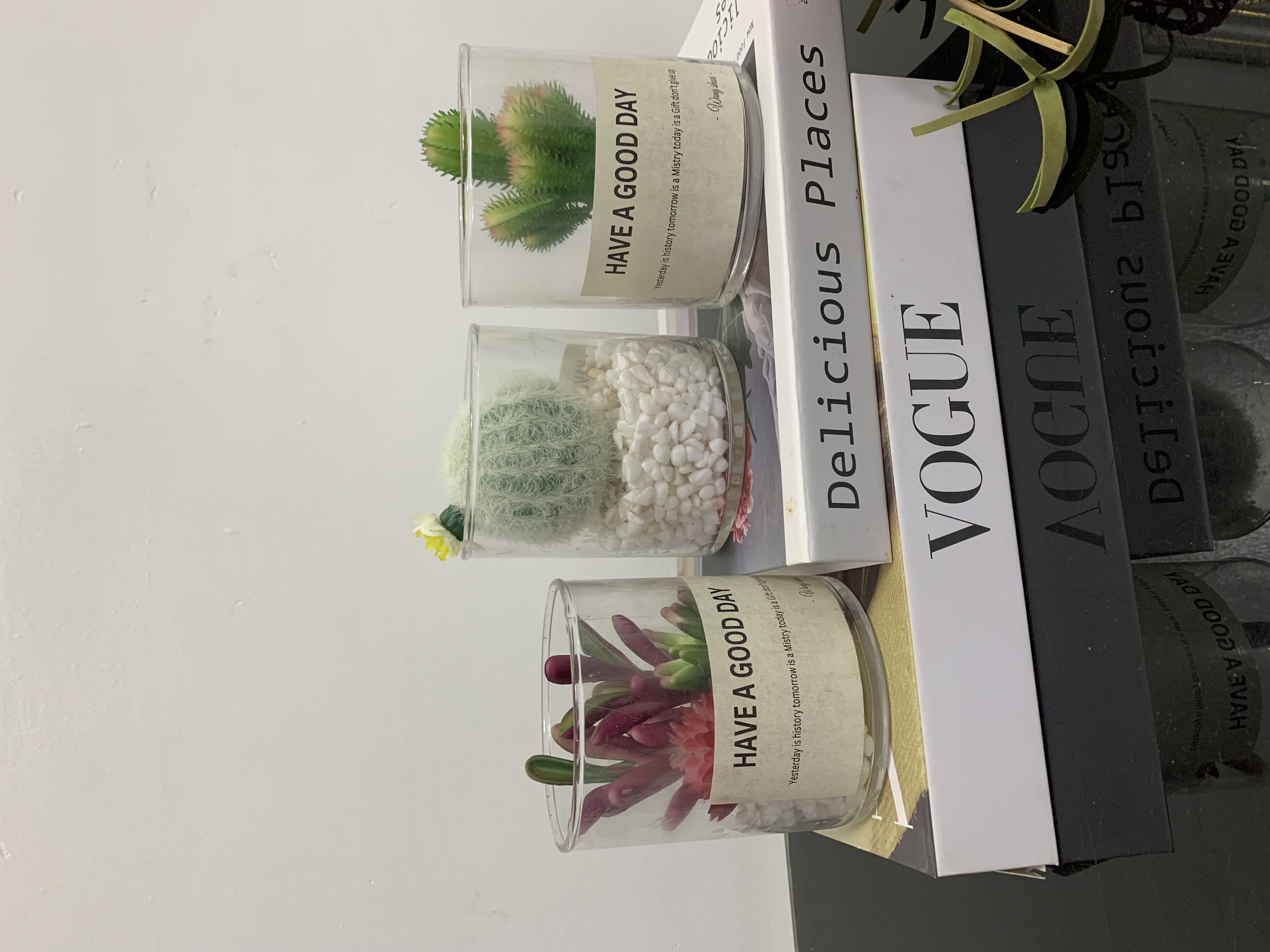 Faux Succulents in Glass Jar Image