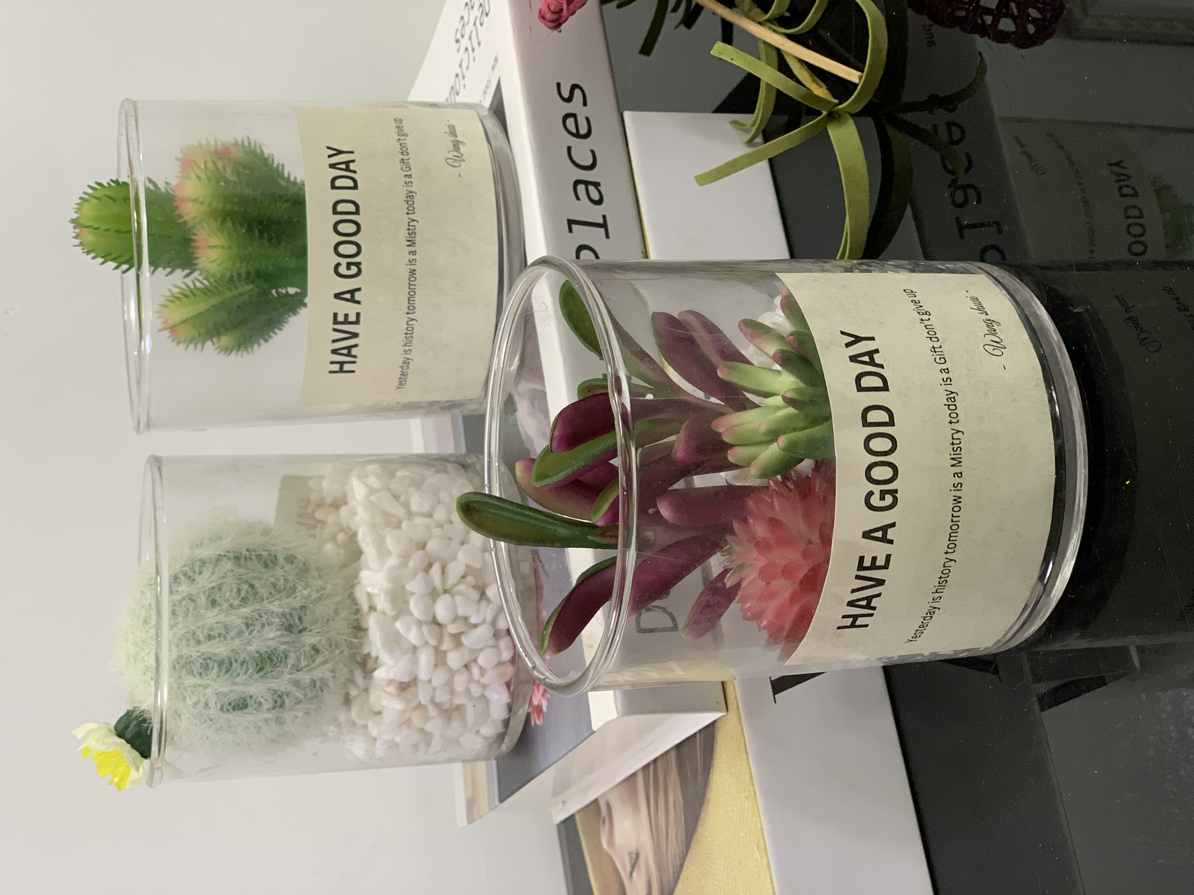 Faux Succulents in Glass Jar Image
