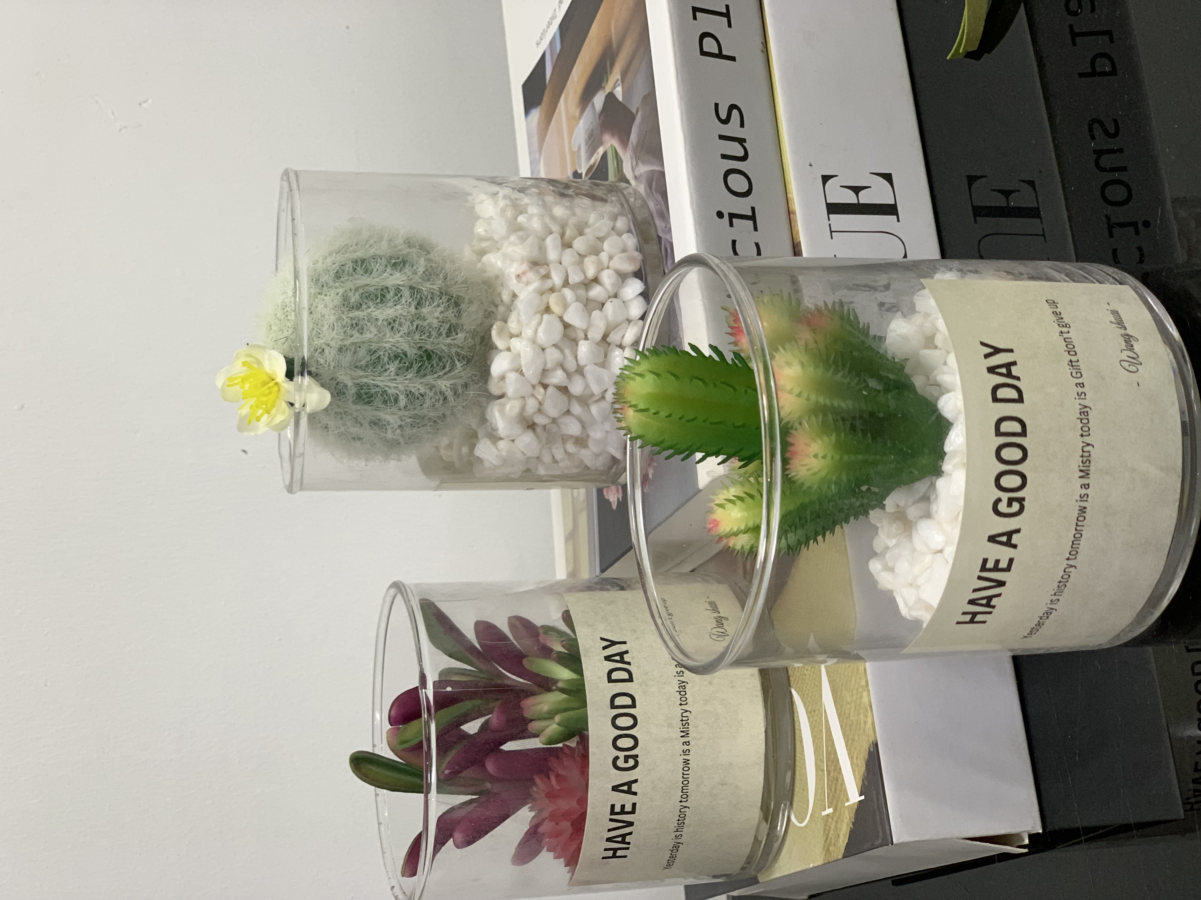 Faux Succulents in Glass Jar Image