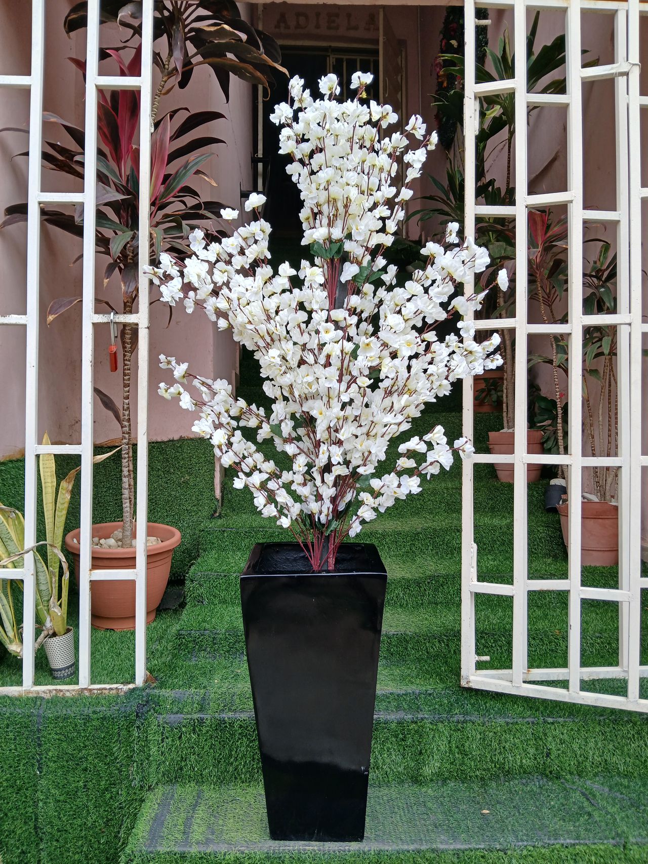 Cherry Blossom Tree in Fibre Planter Image