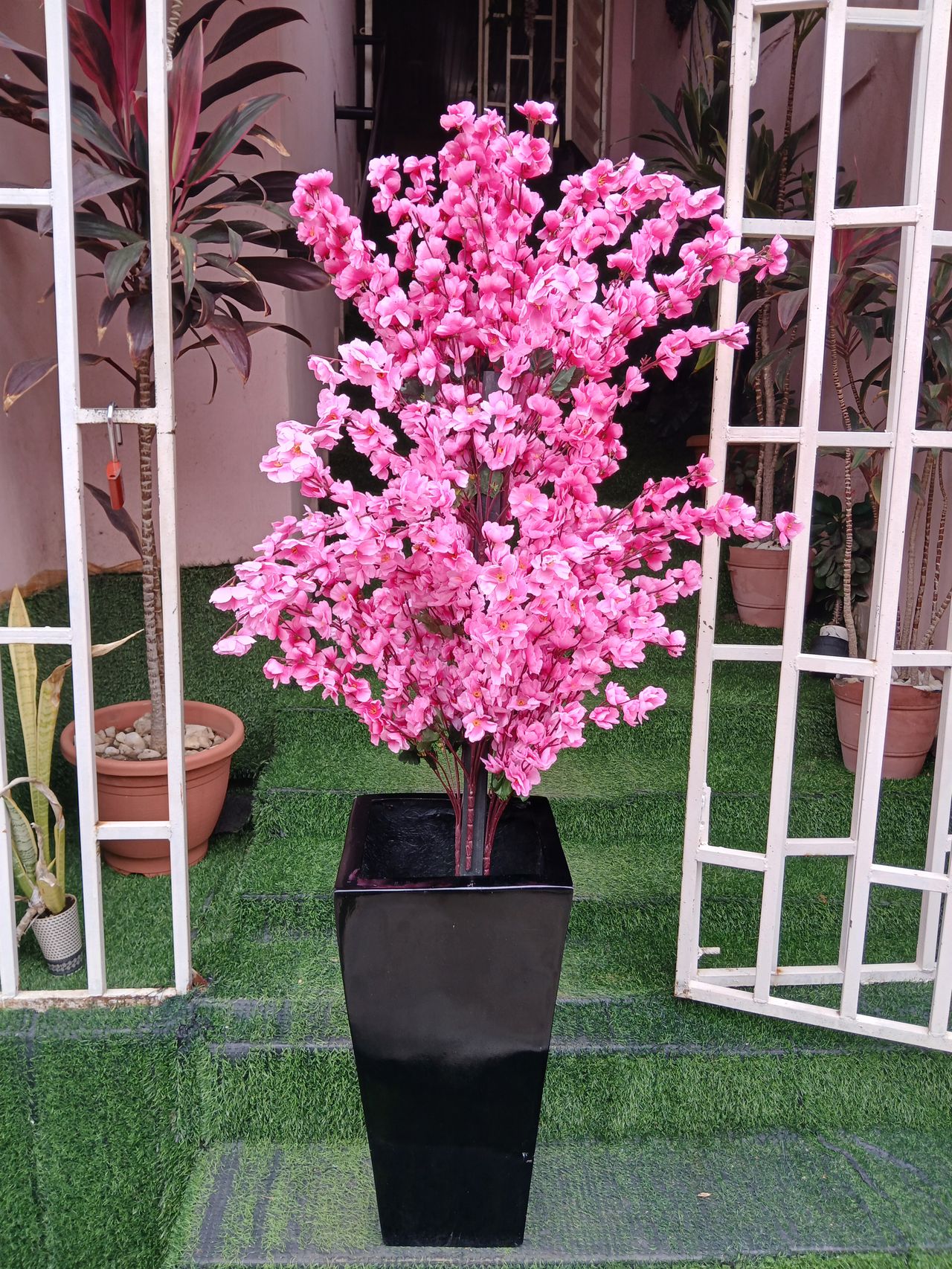 Cherry Blossom Tree in Fibre Planter Image