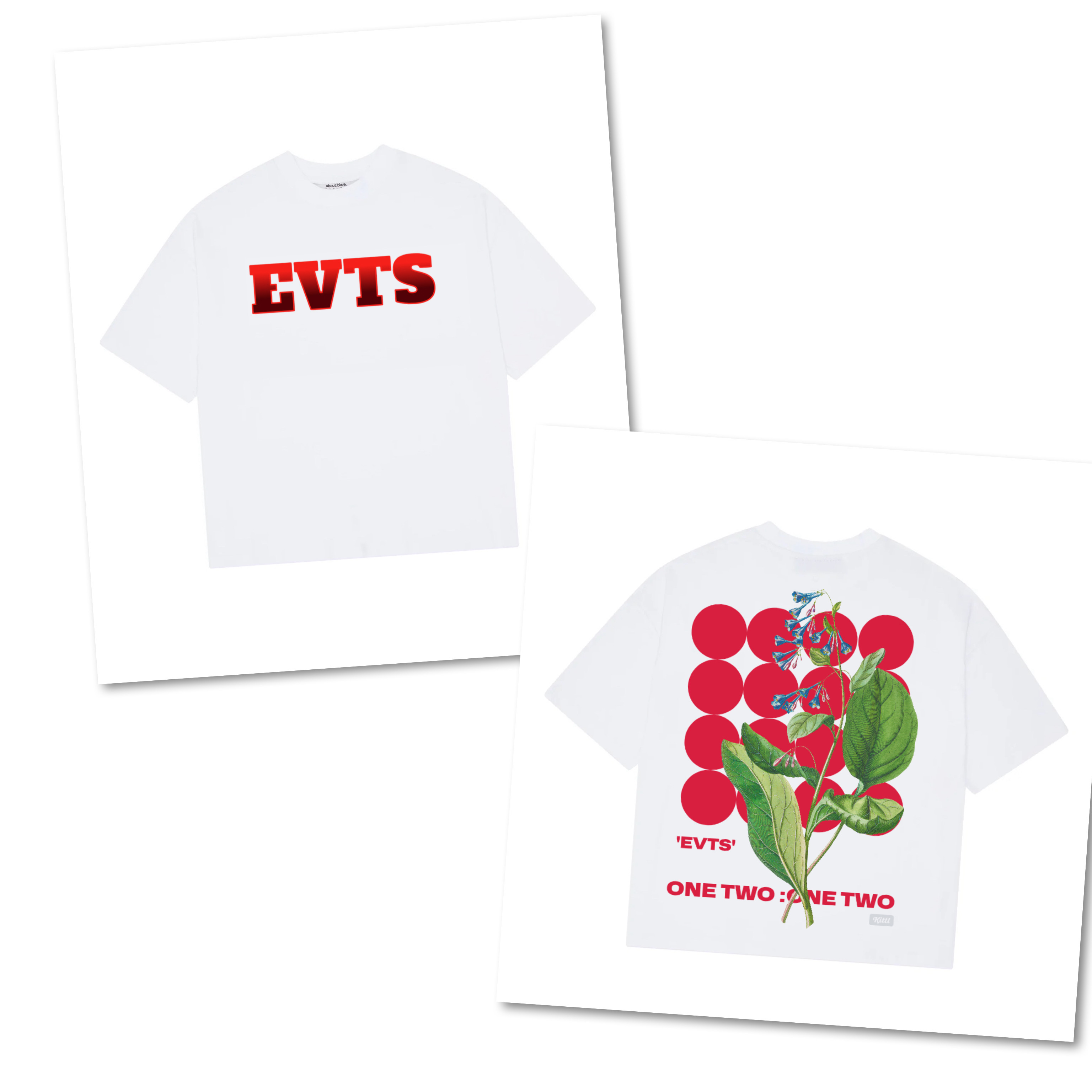 EVTS image