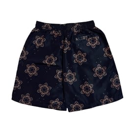 CHILLI LOVE SILK SHORTS image