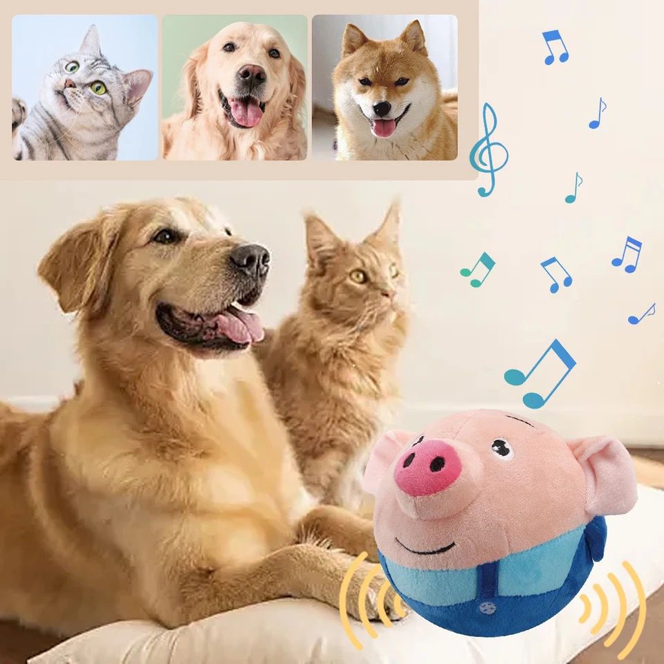 paw bounce piggy toy Image