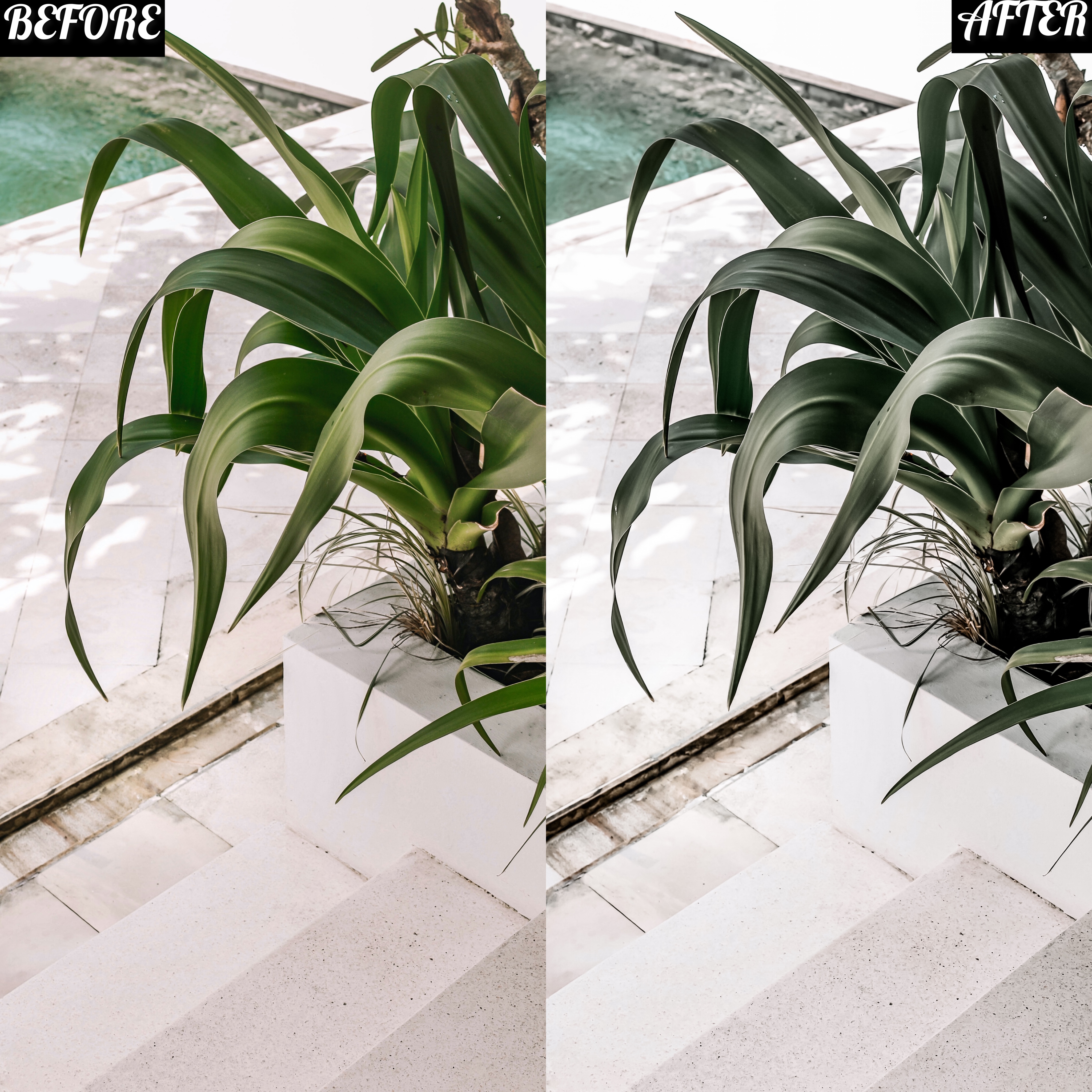 LAYLA NASE WHITE BLISS PRESET Image