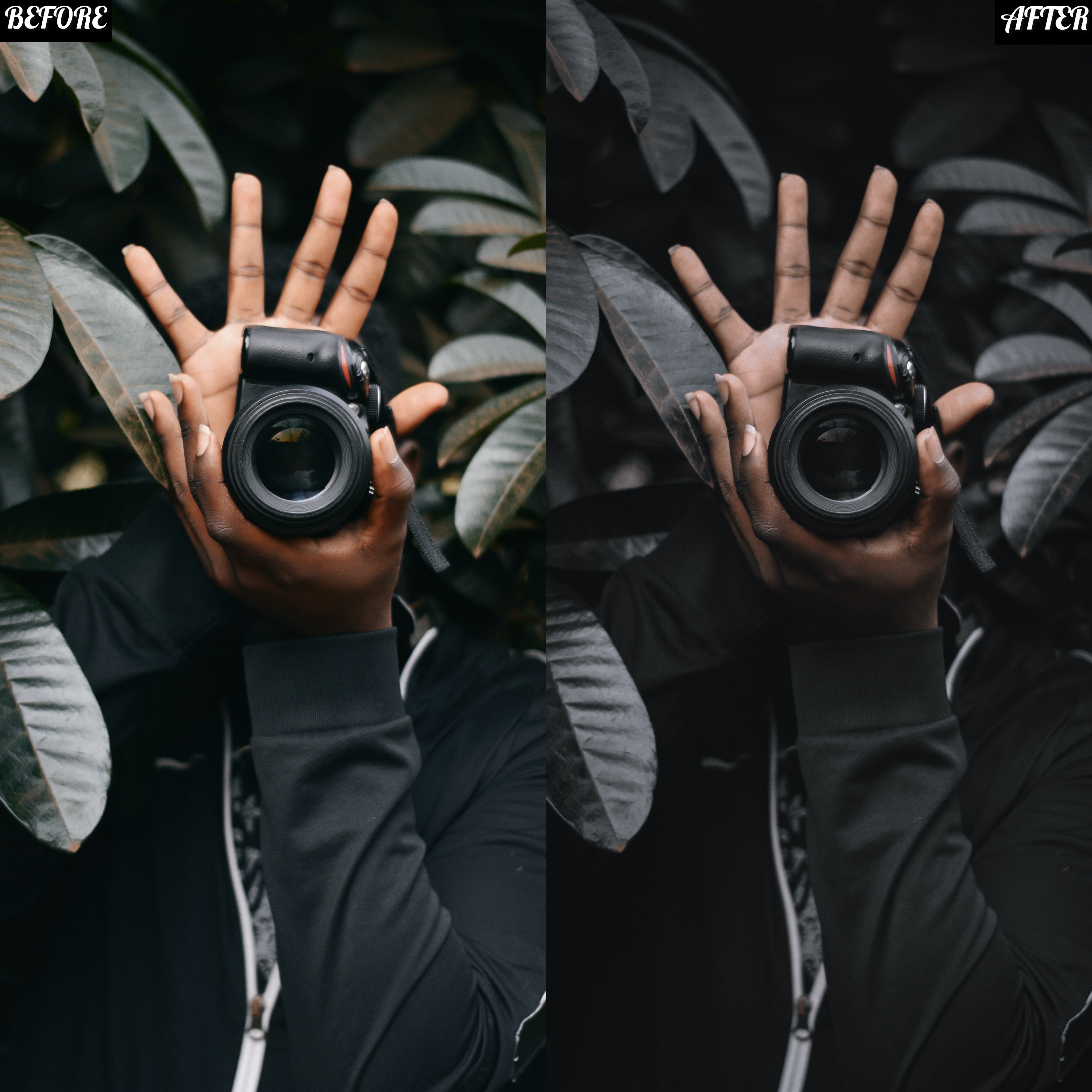 GLOOMY PRESET Image
