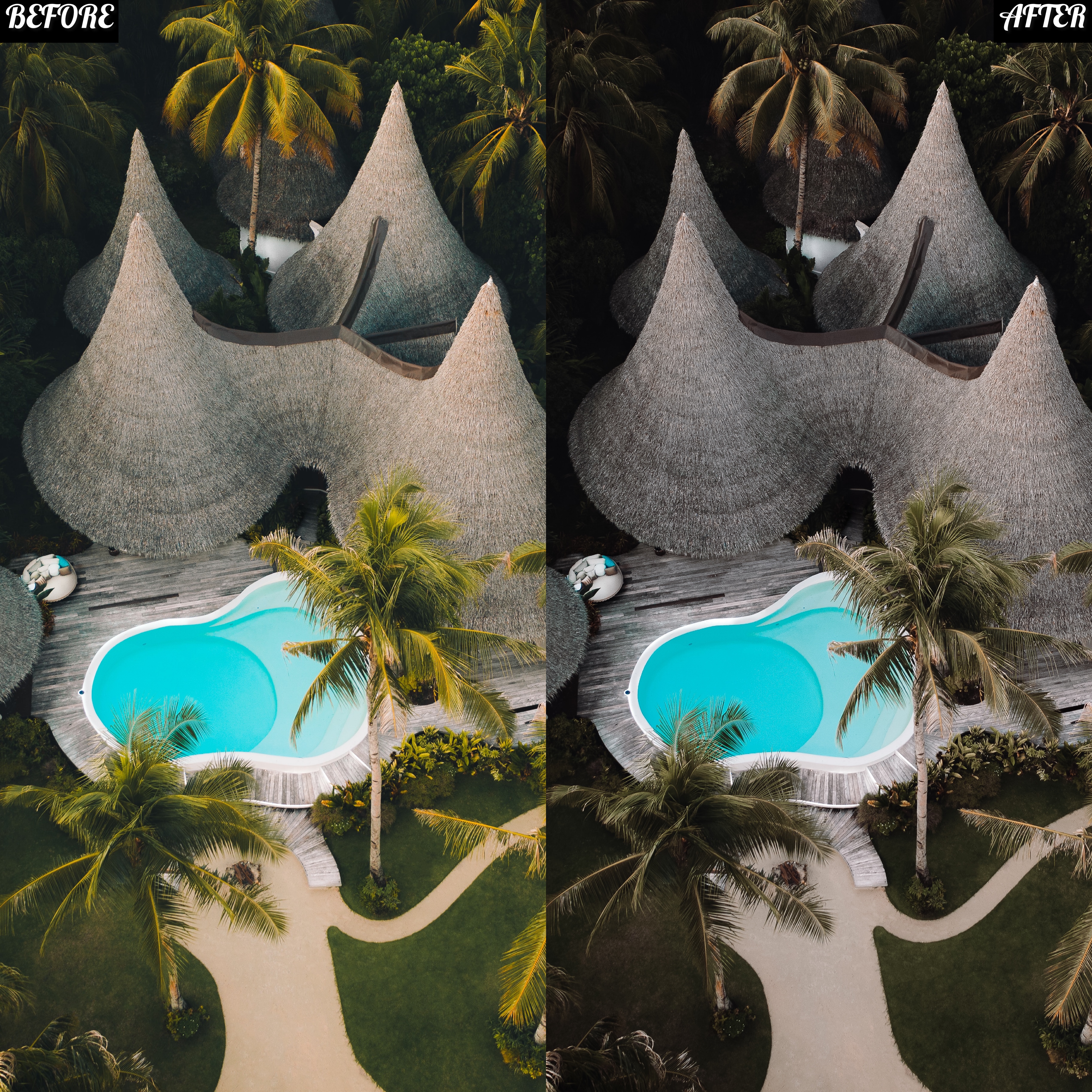 LAYLA NASE INFLUENCER PRESET (CALM) Image