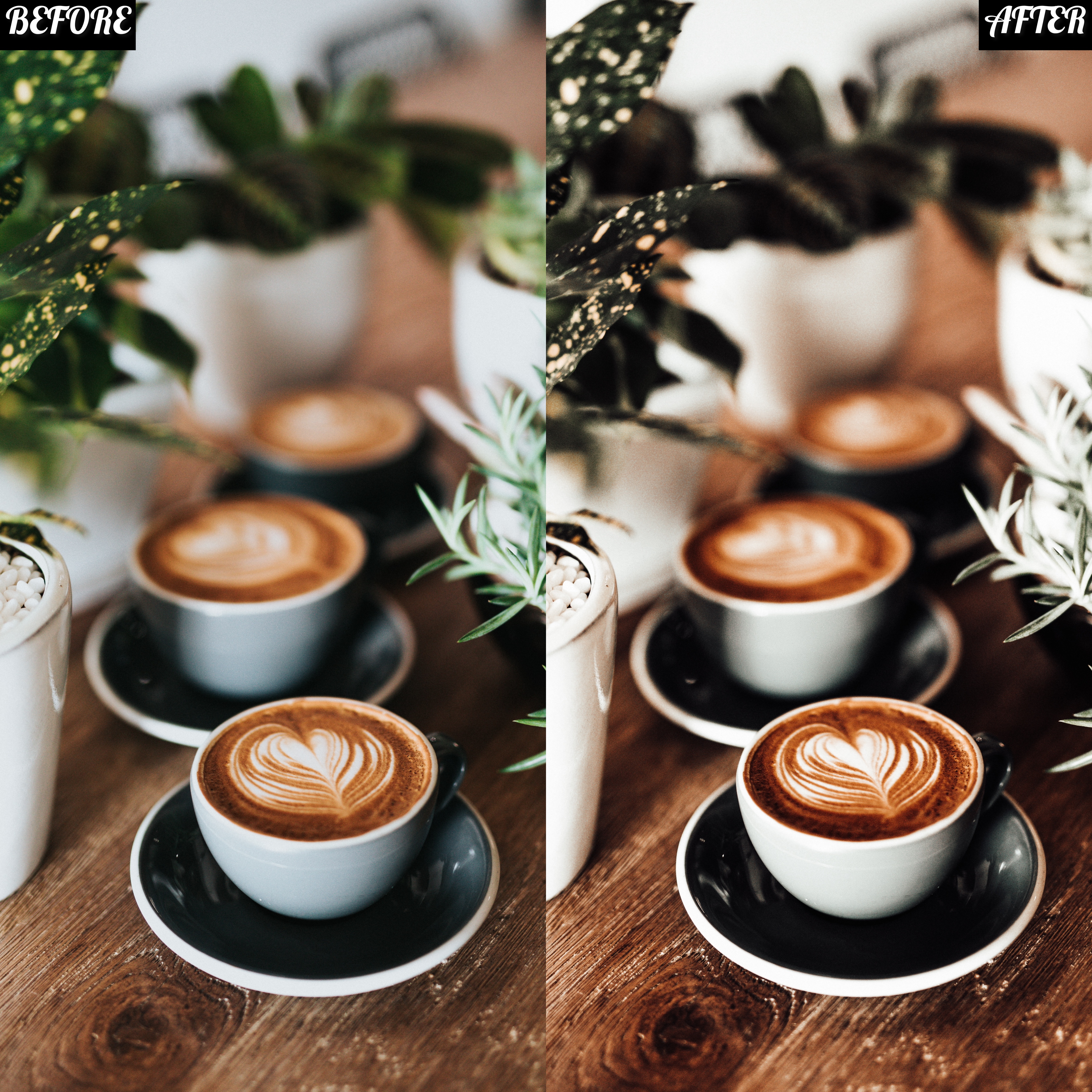 LAYLA NASE MINIMAL BROWN PRESET Image
