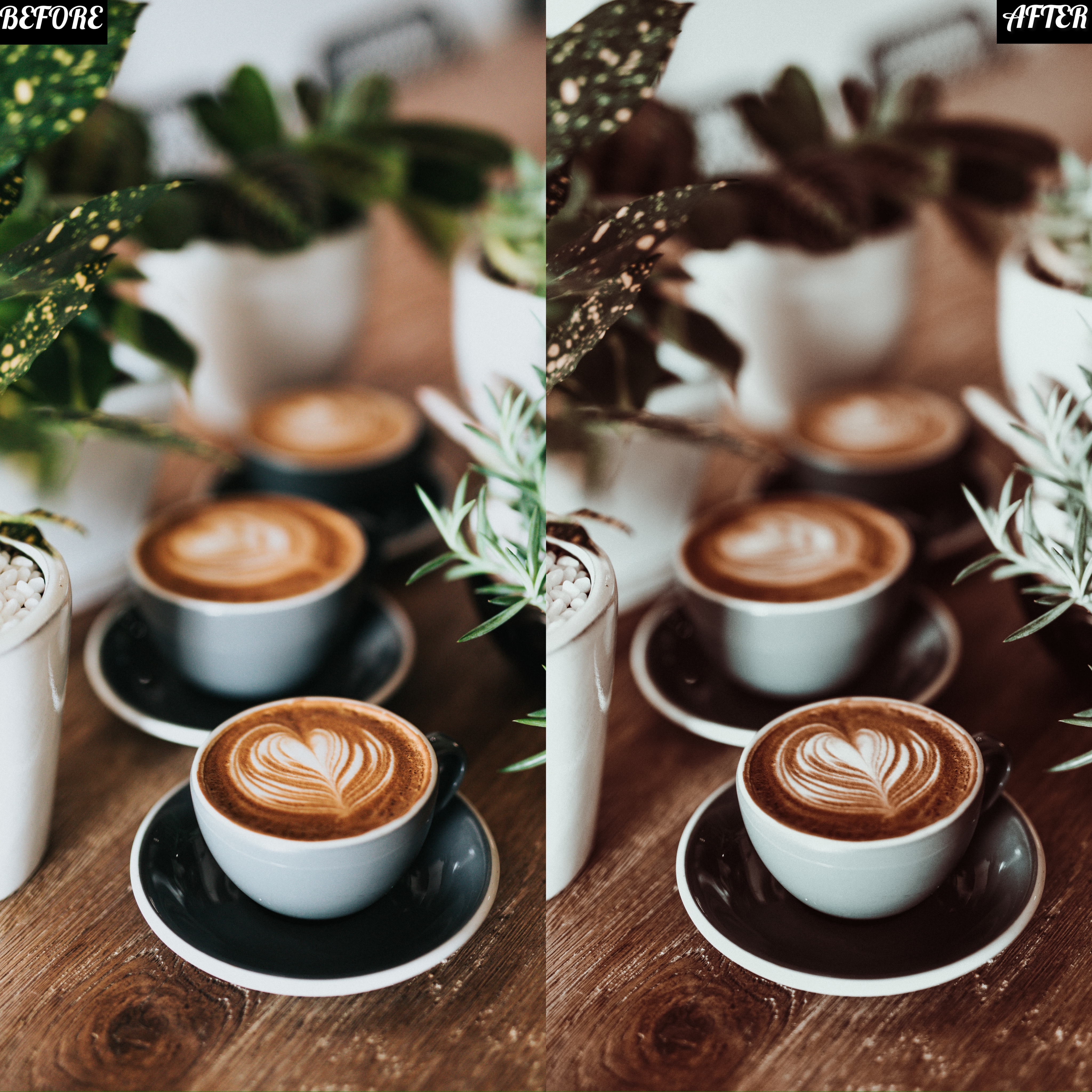 LAYLA NASE CAPPUCCINO PRESET Image