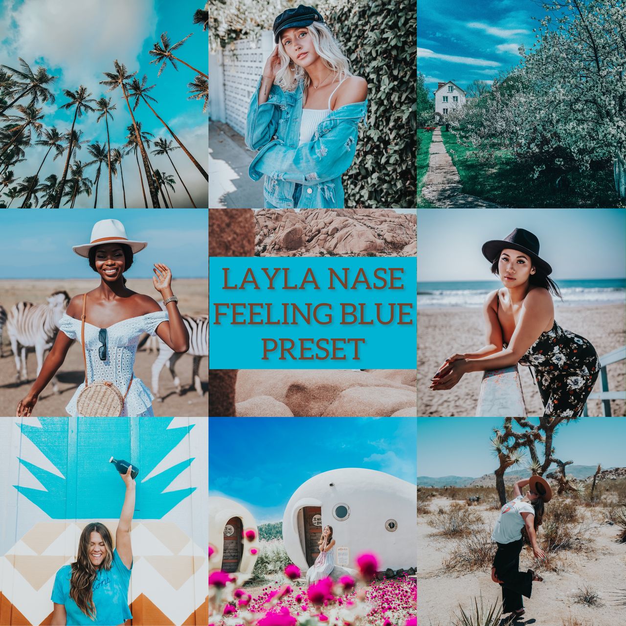LAYLA NASE FEELING BLUE PRESET Image