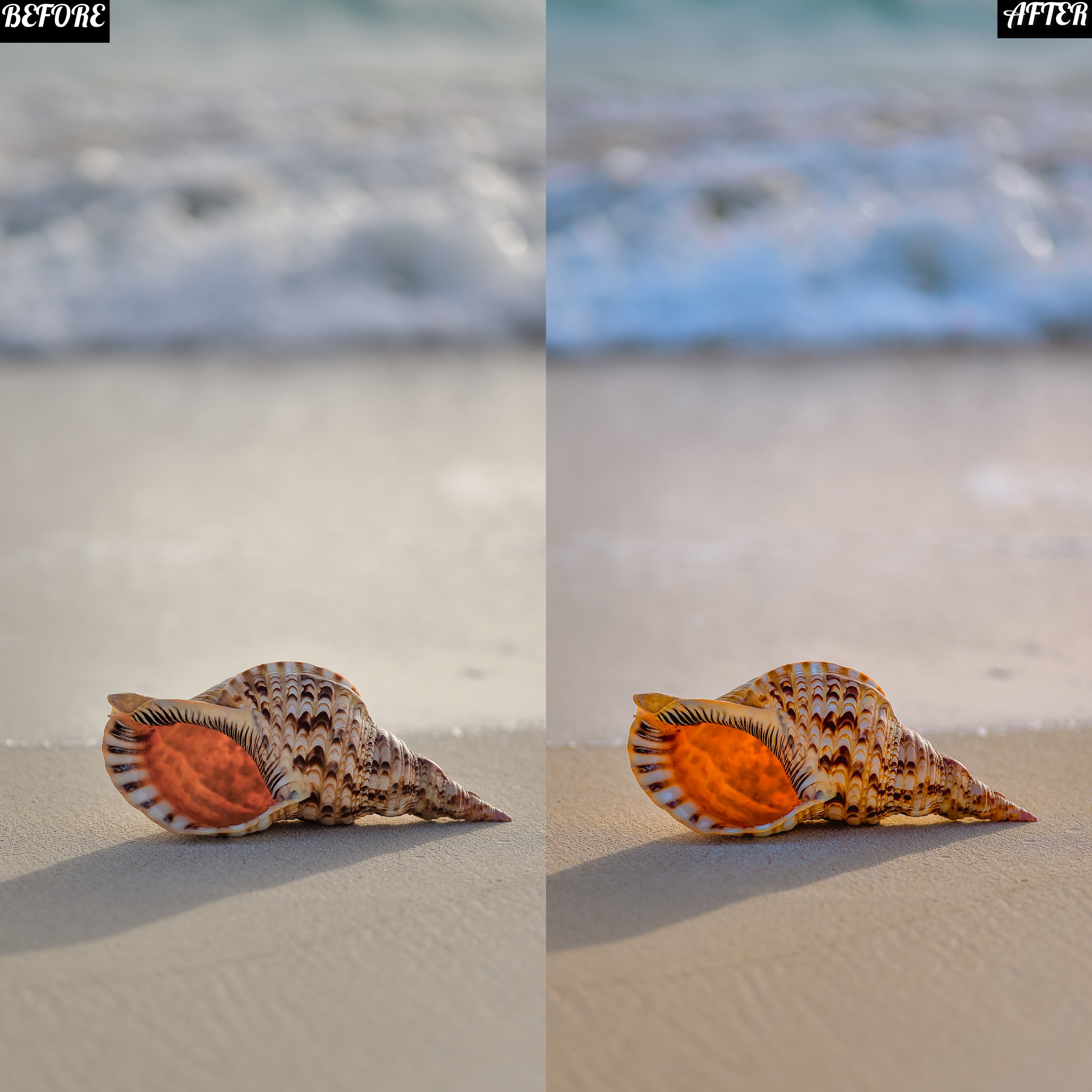 LAYLA NASE BEACH PRESET Image