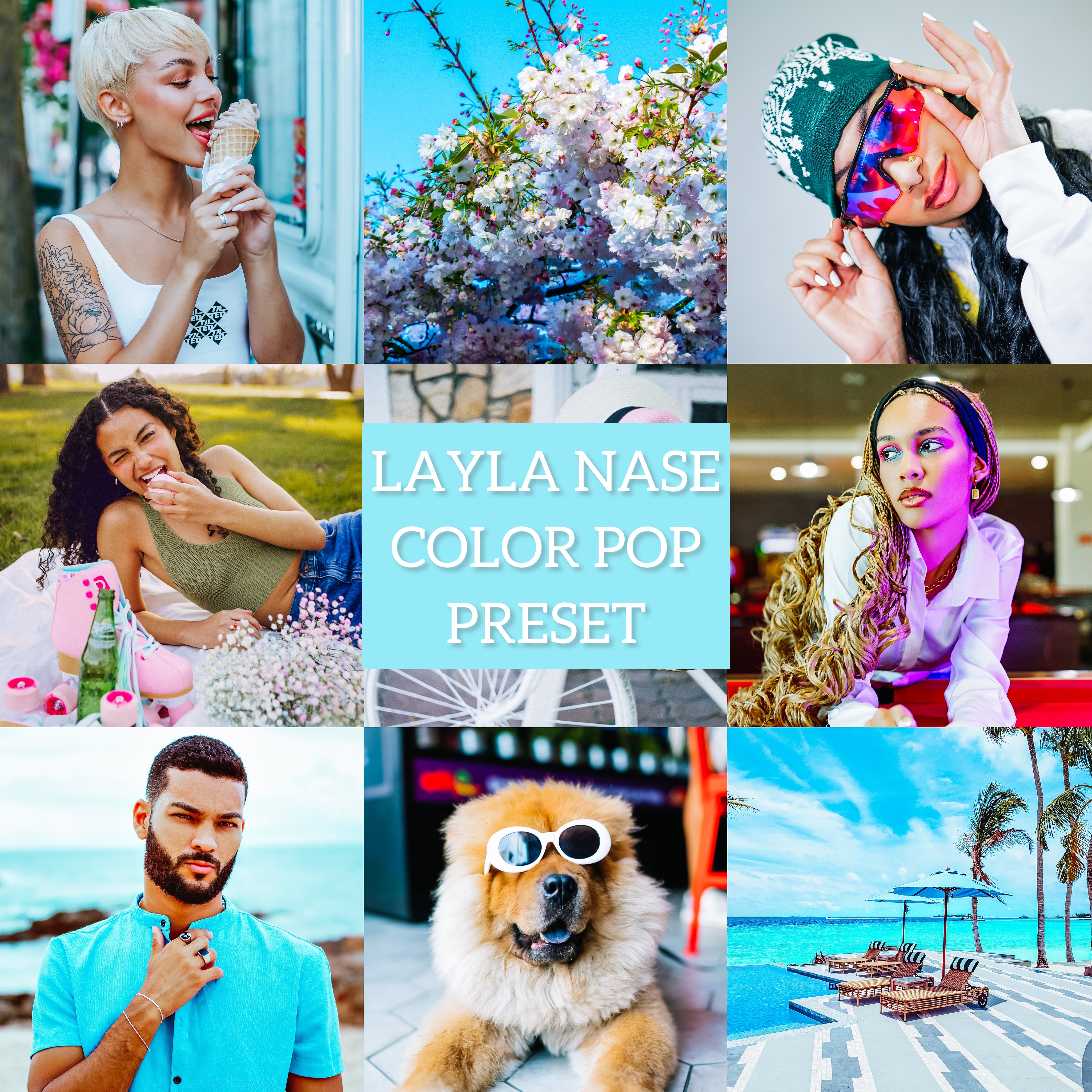 LAYLA NASE COLOR POP PRESET Image