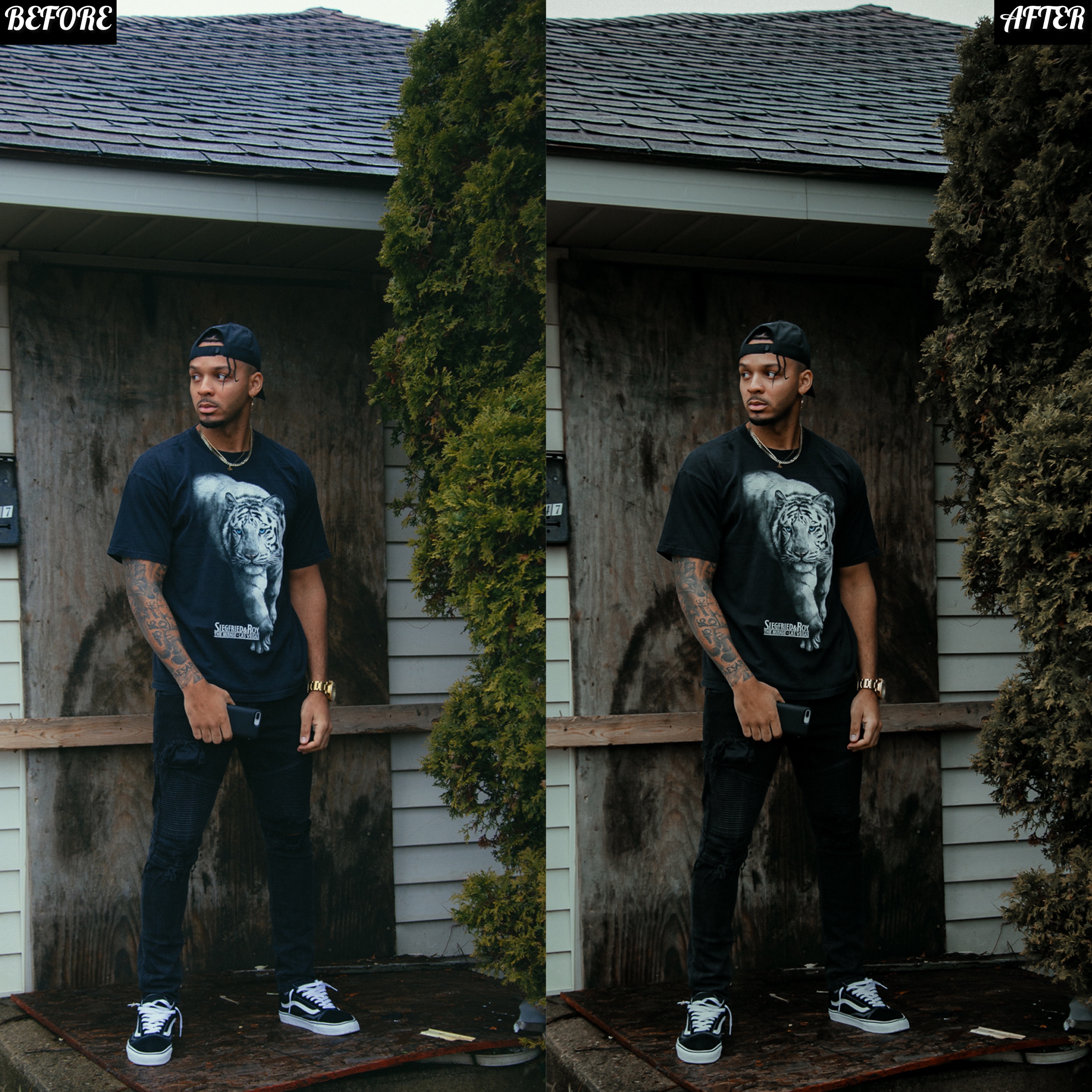 LAYLA NASE DEEP GREEN PRESET Image