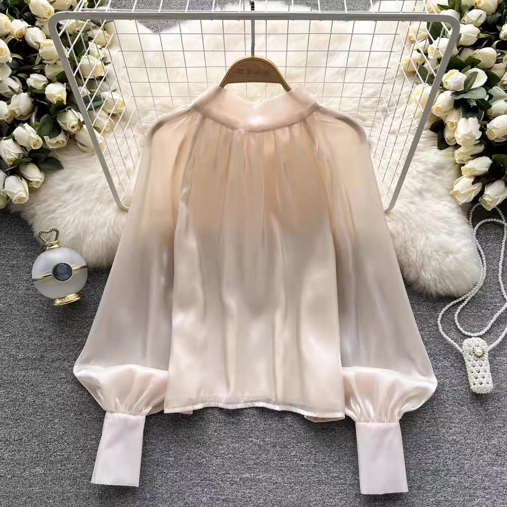 Rough lover sheer top TZZ569 image