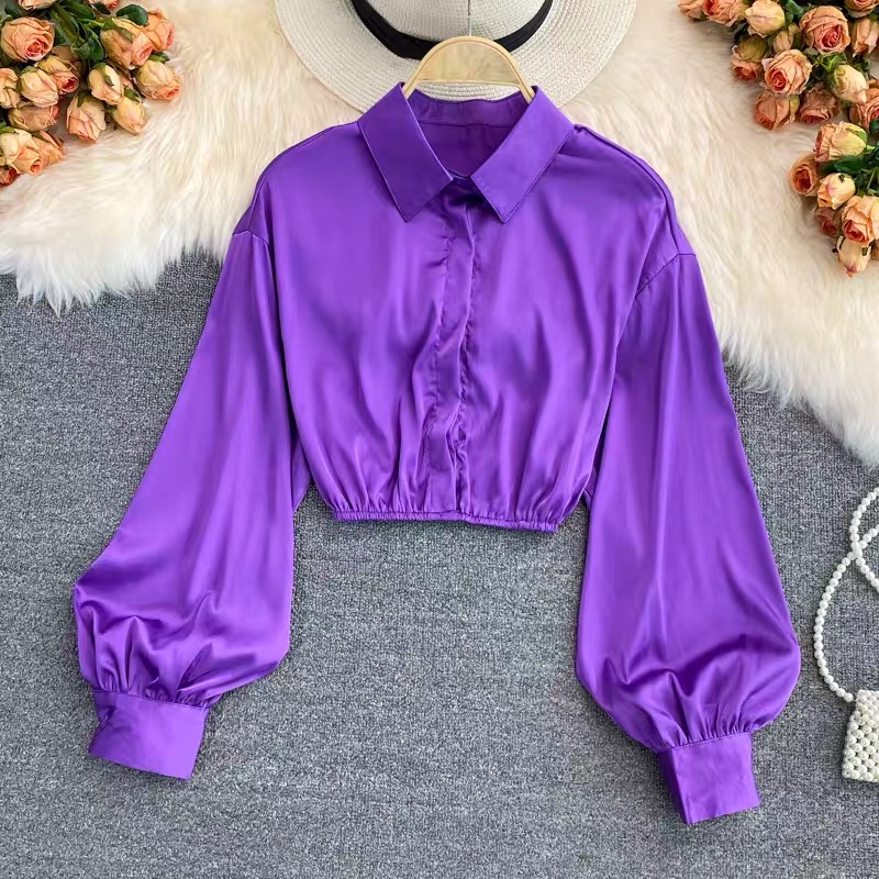 Your favorite silk crop top TZZ299 image